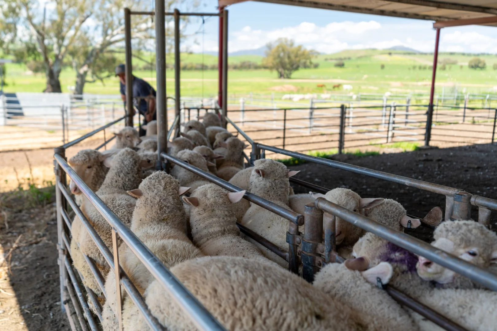 Additional image 23 of 95 Stoneys Road, Mansfield VIC 3722