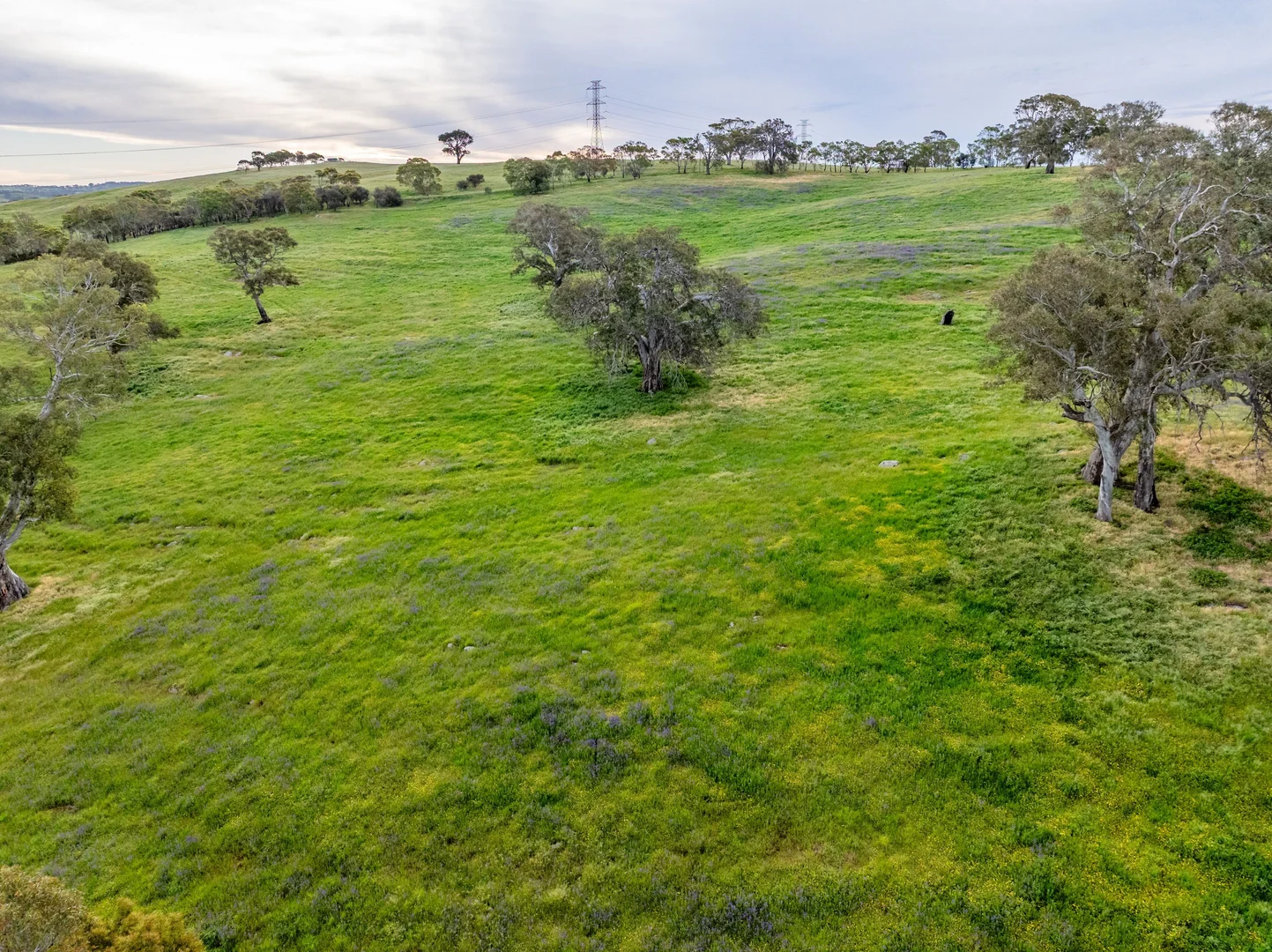 Additional image 27 of 312 Collins Road, Tungkillo SA 5236