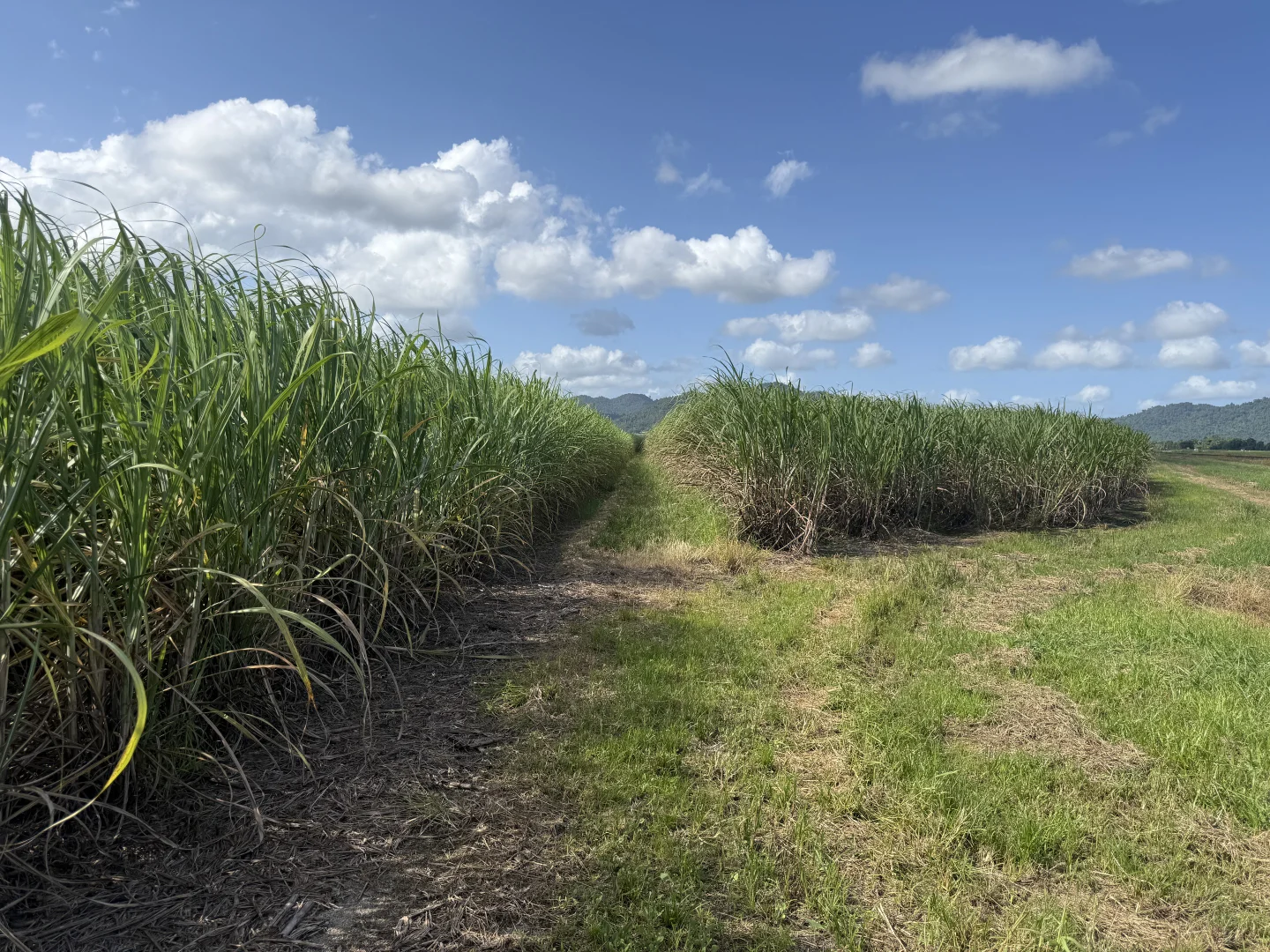 Additional image 9 of Midgenoo QLD 4854