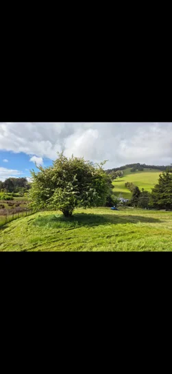 Additional image 10 of 17 Reeves Lane, Dover TAS 7117