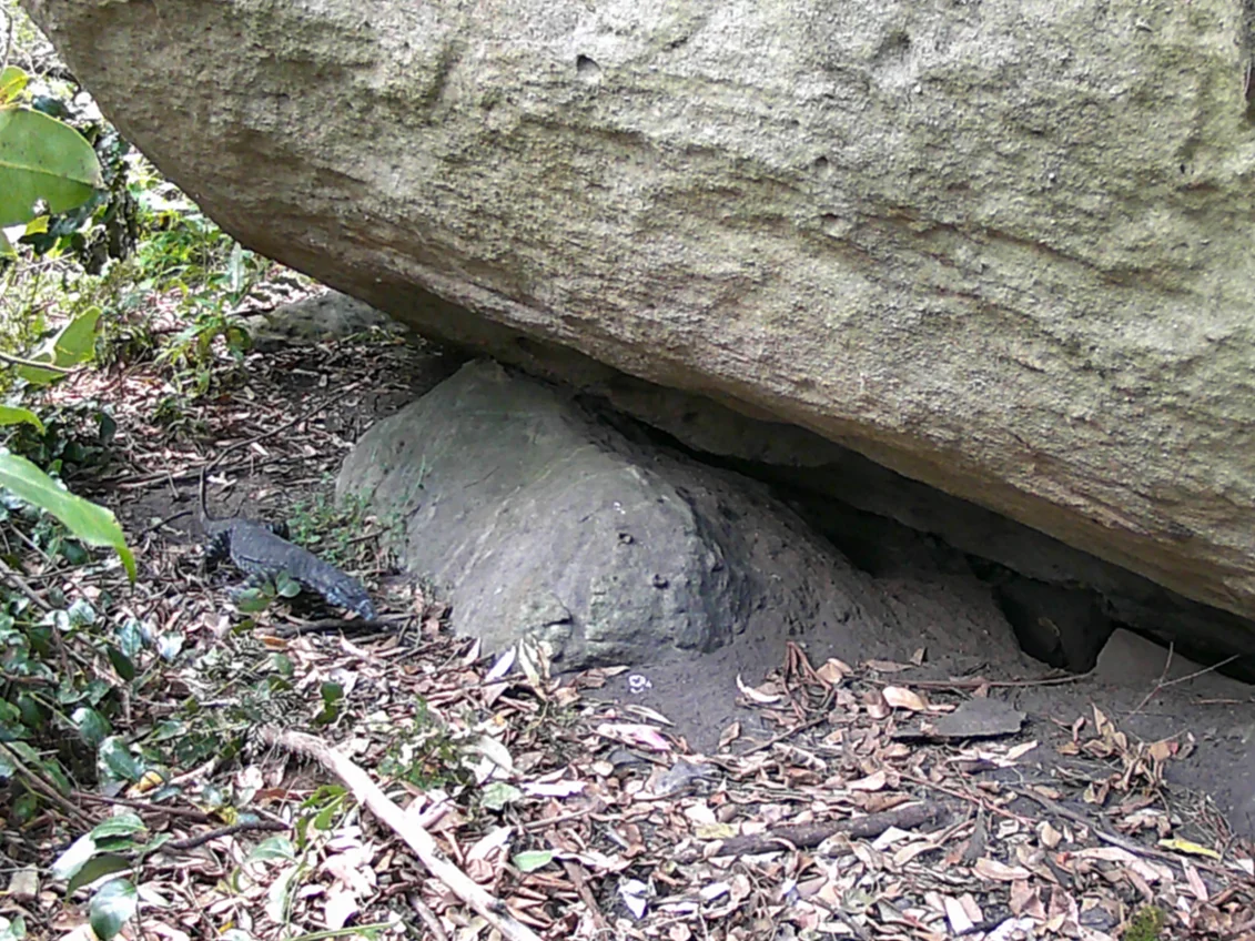 Additional image 26 of Illaroo NSW 2540