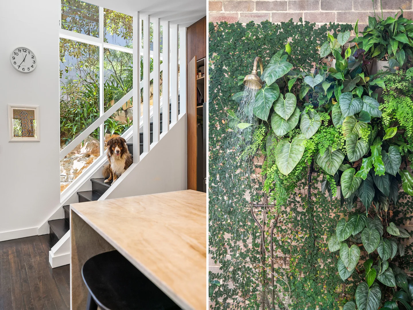 Additional image 9 of 19 The Avenue, Hunters Hill NSW 2110