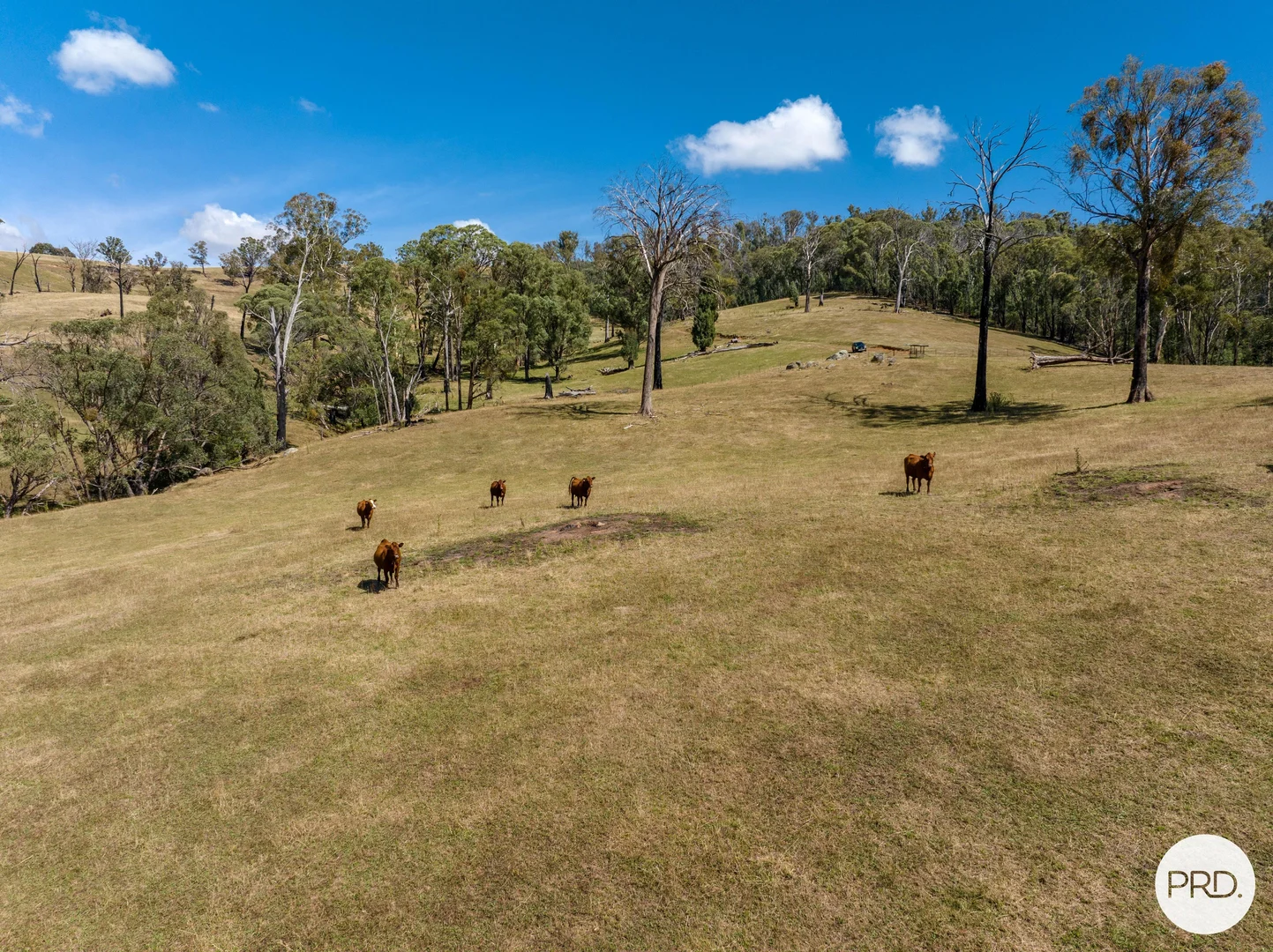 Additional image 79 of 1100 Batlow Road, Tumbarumba NSW 2653