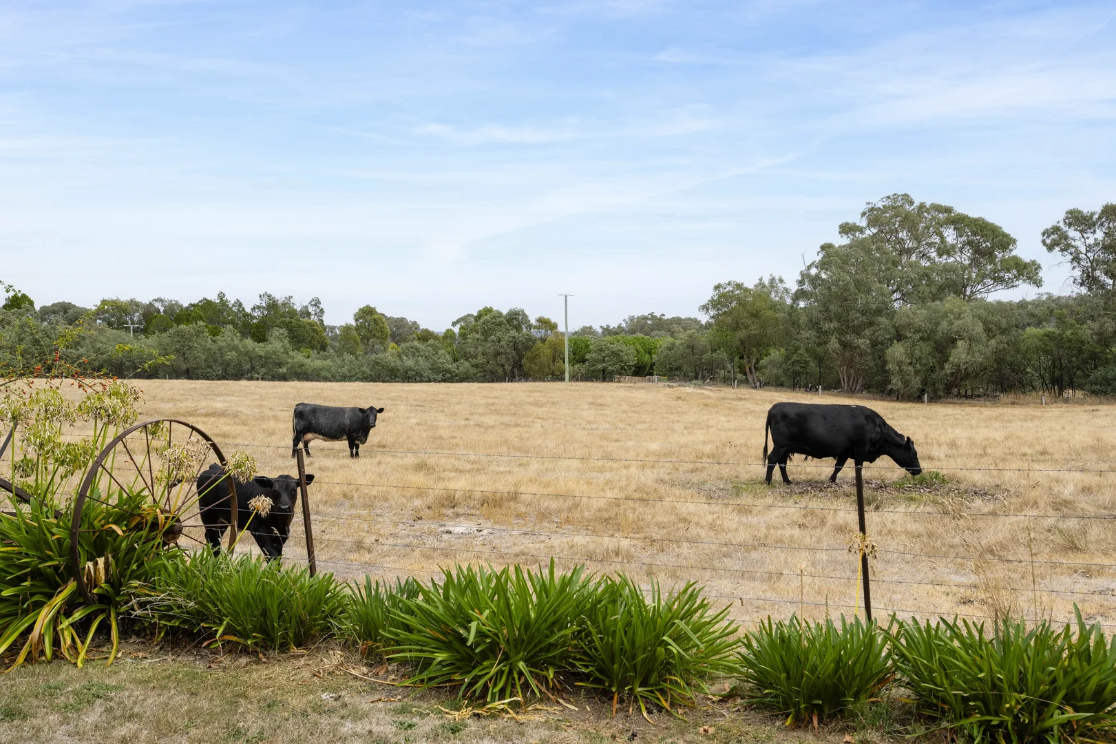 Additional image 26 of 206 Alma Road, Beechworth VIC 3747