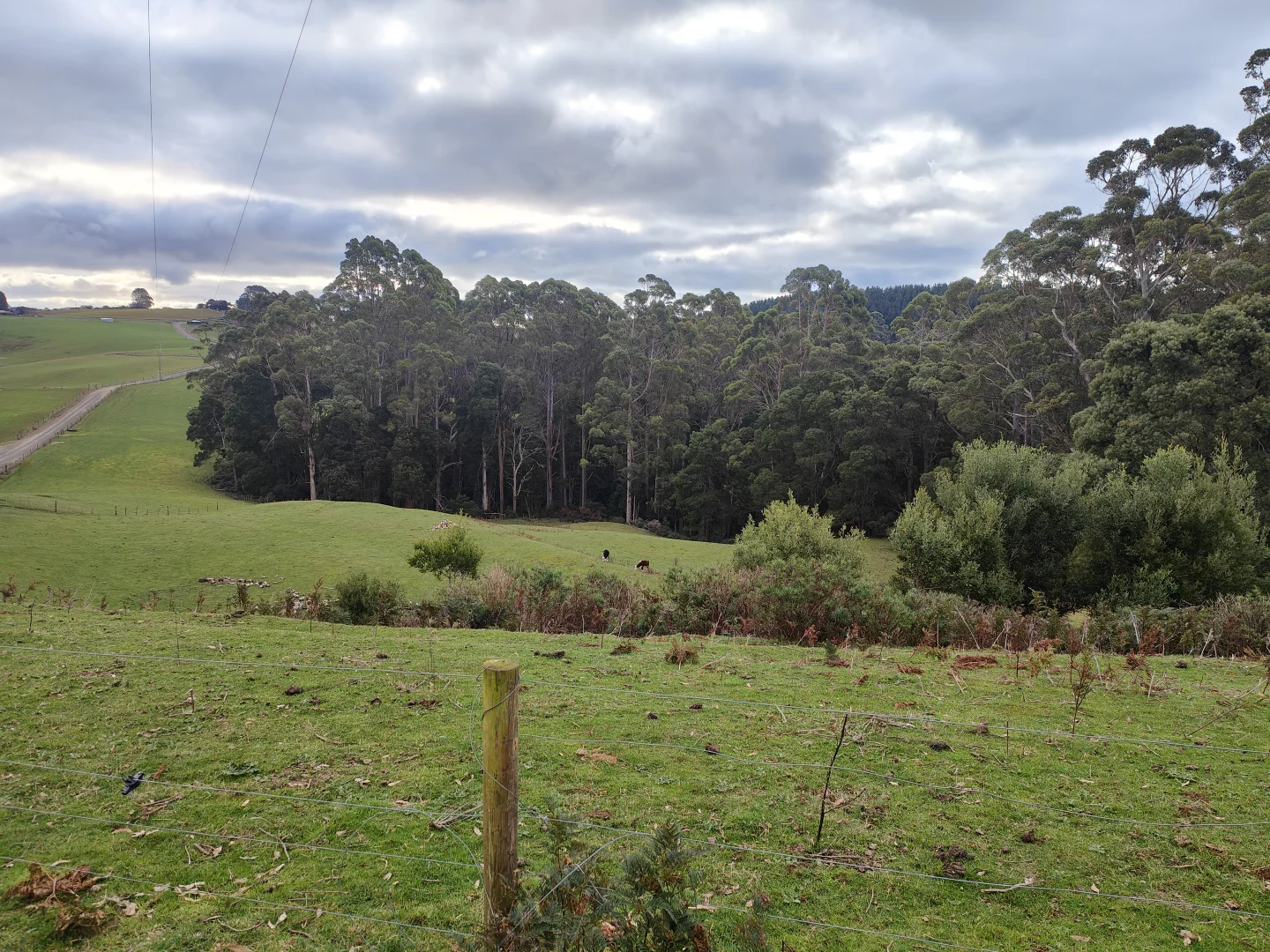Additional image 16 of 0 Studderds Road, Moorleah TAS 7325