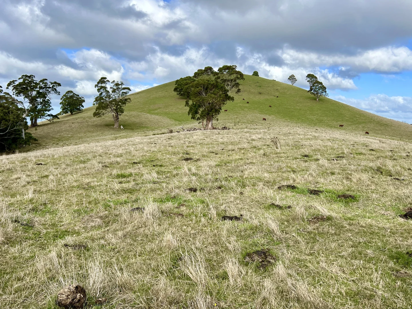 Additional image 6 of Red Gap Road/Fagans Lane, Goldie VIC 3435