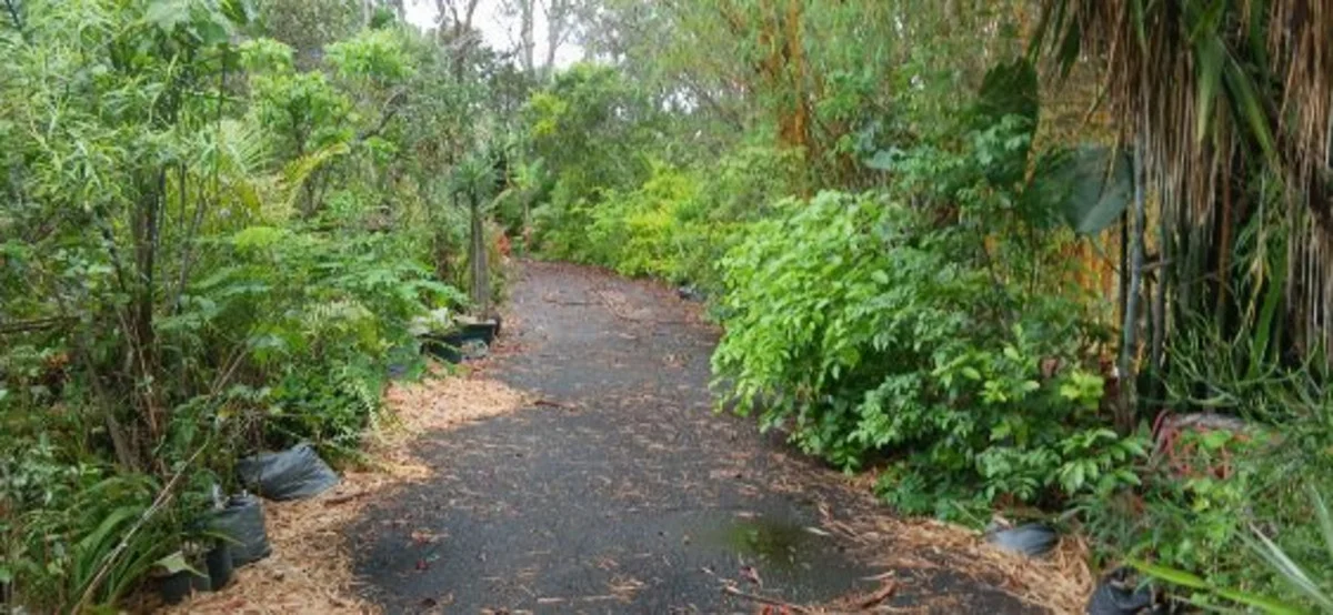 Additional image 15 of 1 Top End Mines Road, Torbanlea QLD 4662