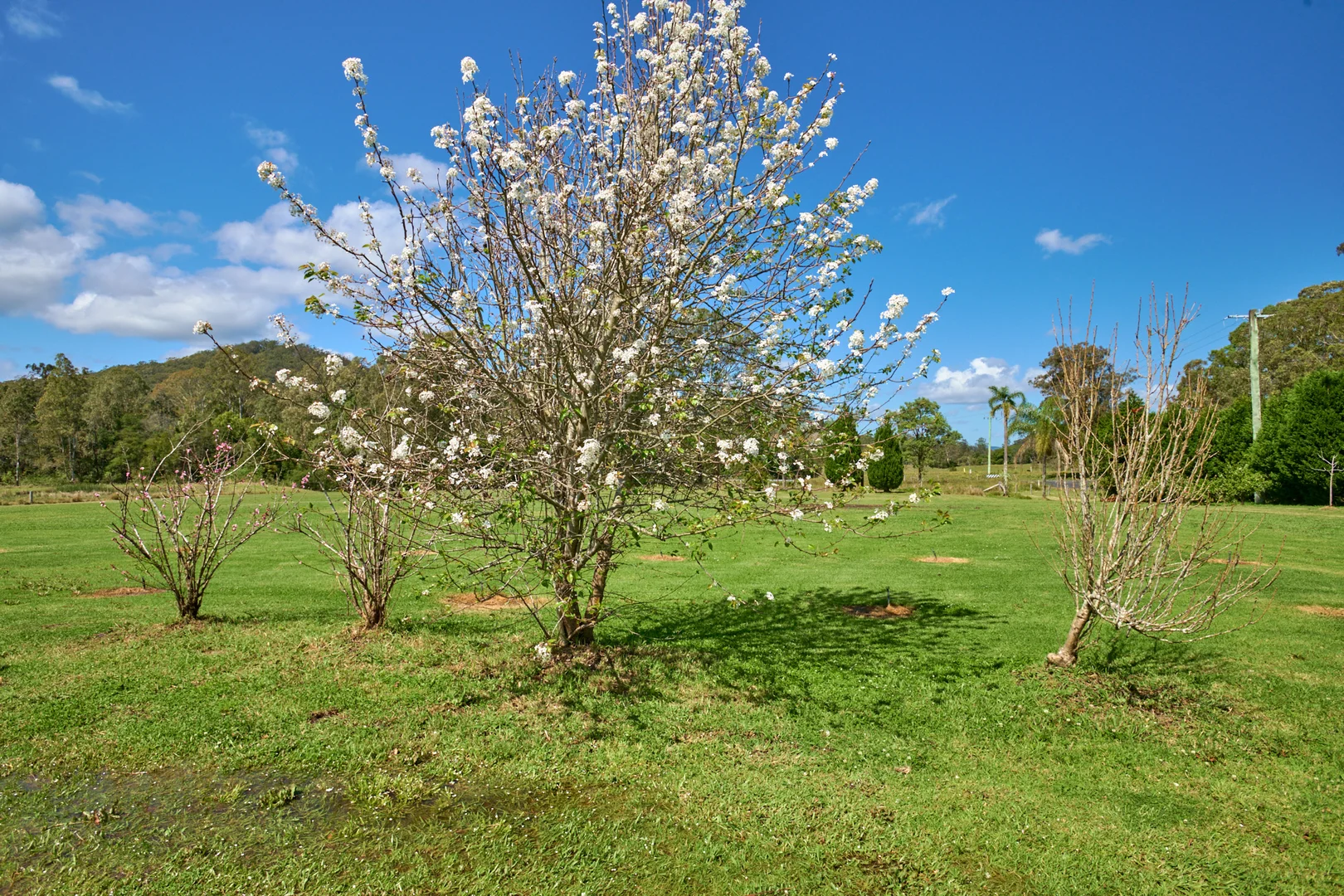 Additional image 15 of 10 Markwell Back Road, Bulahdelah NSW 2423