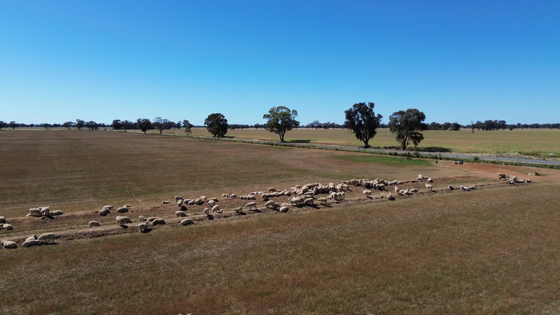 Additional image 19 of 520 Mayrung Road, Finley NSW 2713