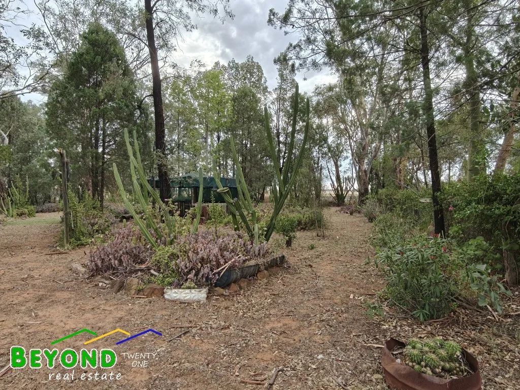 Additional image 32 of 836 Newell Highway, Gilgandra NSW 2827