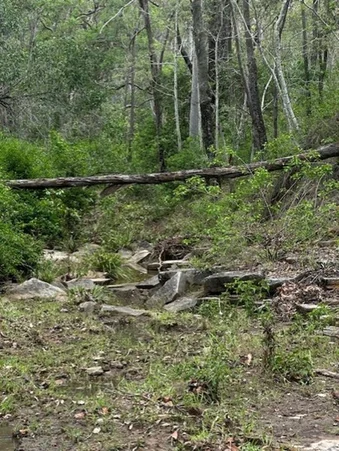 Additional image 25 of Hurdle Gully Road, Monto QLD 4630