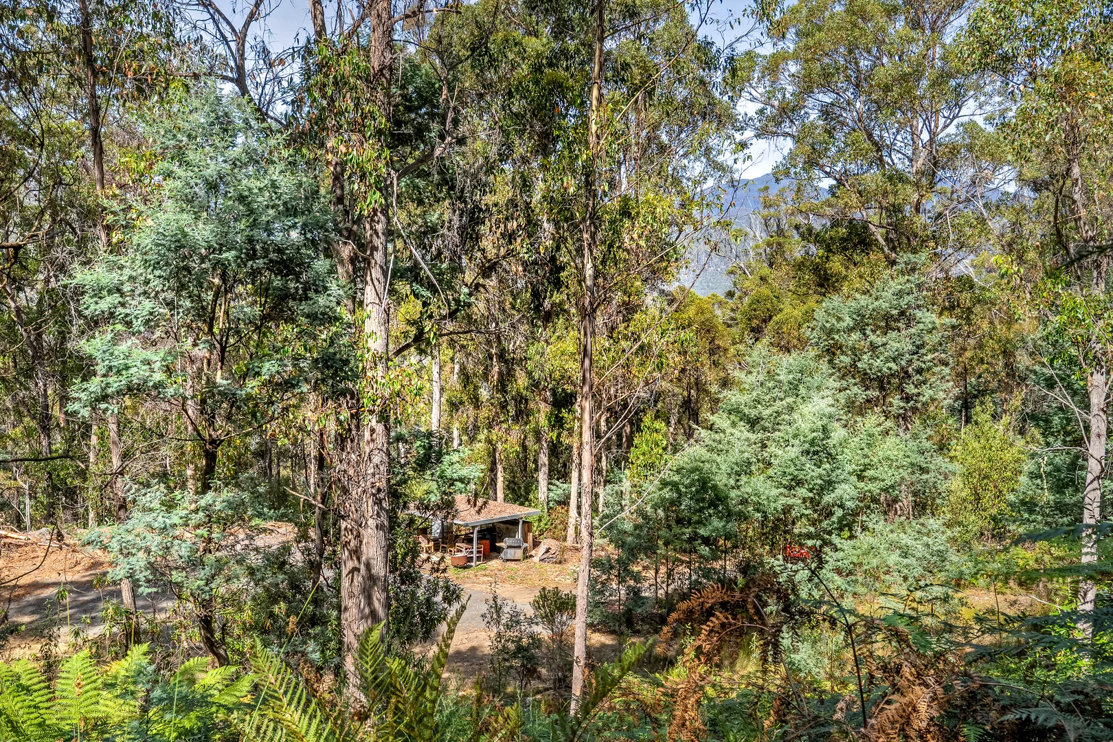 Additional image 33 of 1 Douglas Road, Molesworth TAS 7140