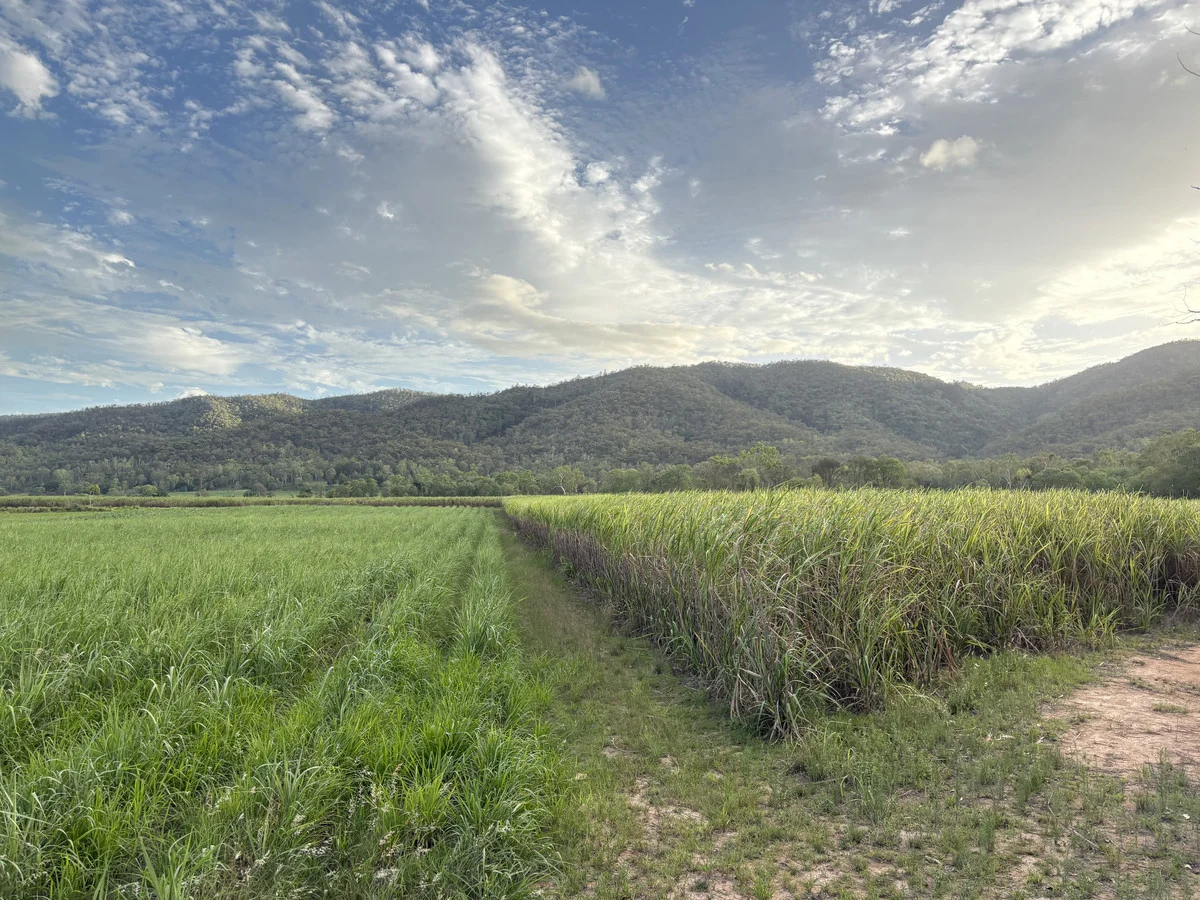 Additional image 13 of 2 Sievers Road, Oakenden QLD 4741