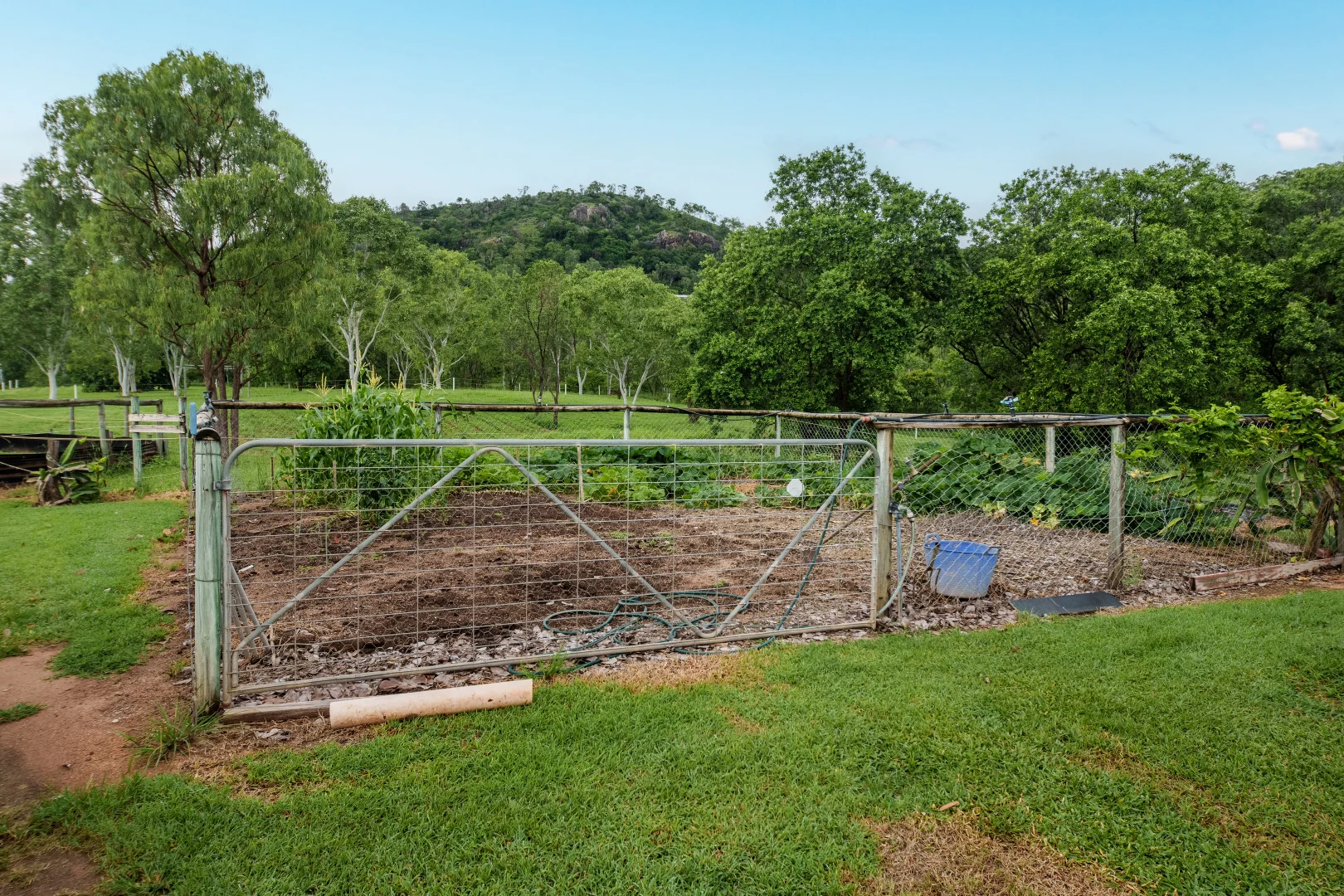 Additional image 30 of 235 Bentley Drive, Nome QLD 4816