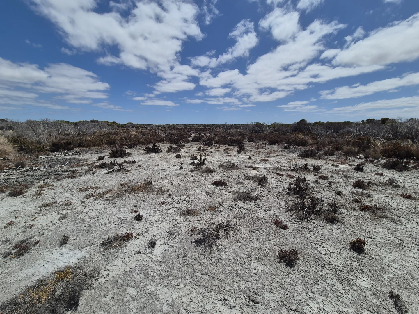 Additional image 21 of 344 Dotterel Drive, Hopetoun WA 6348