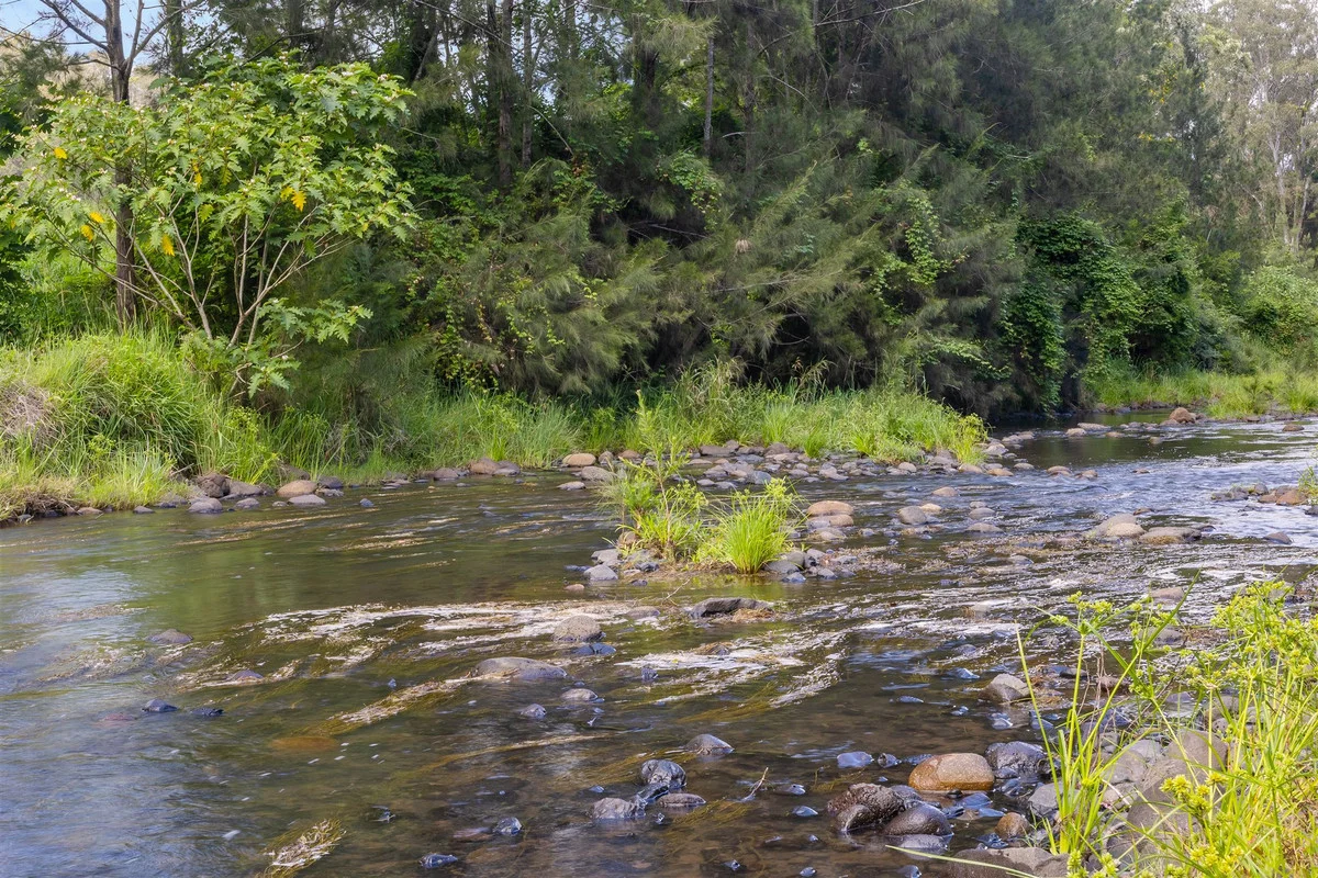 Additional image 3 of 376 Findon Creek Road, Findon Creek NSW 2474