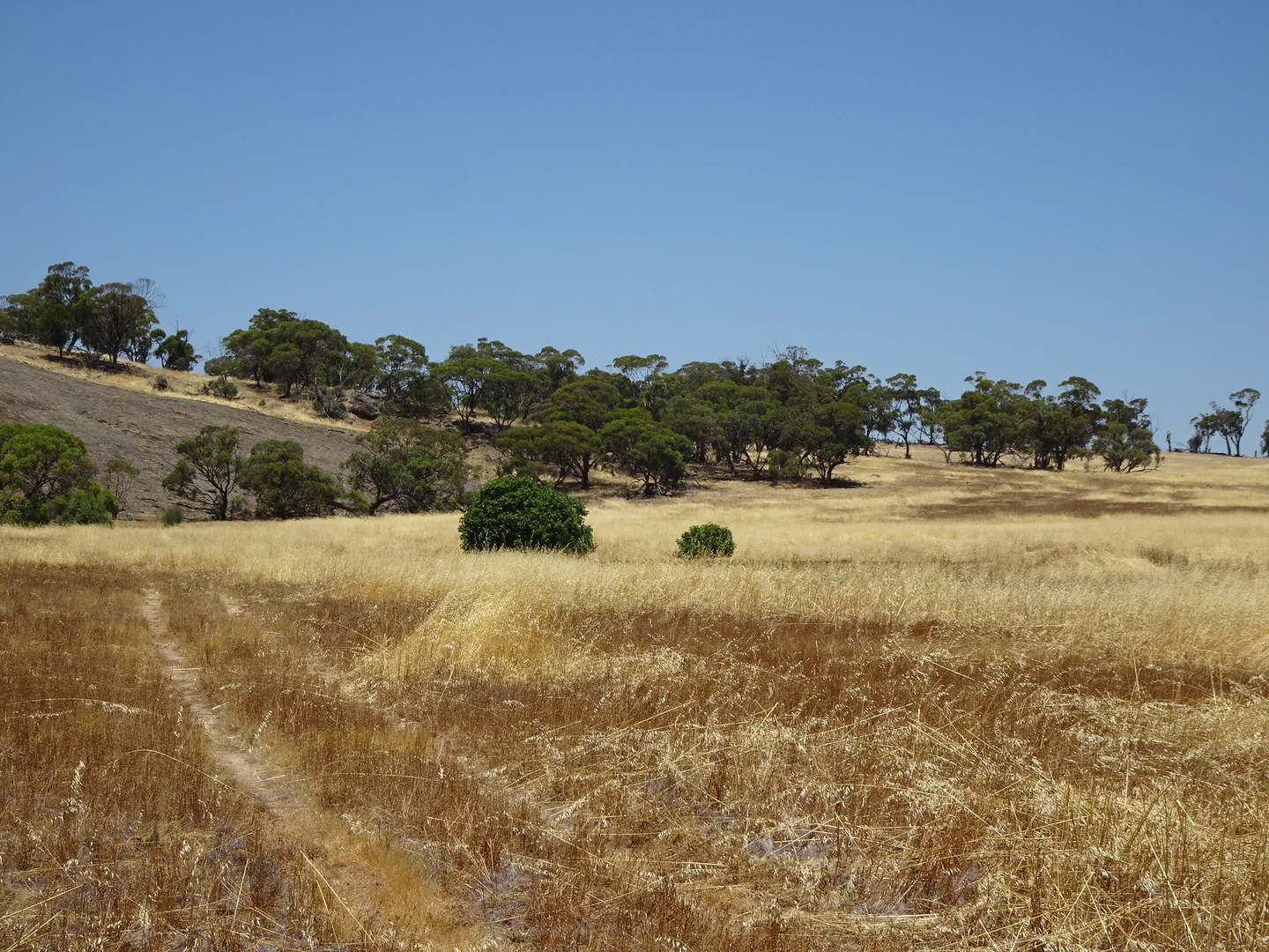 Additional image 21 of 160 Chittleborough Road, Brookton WA 6306