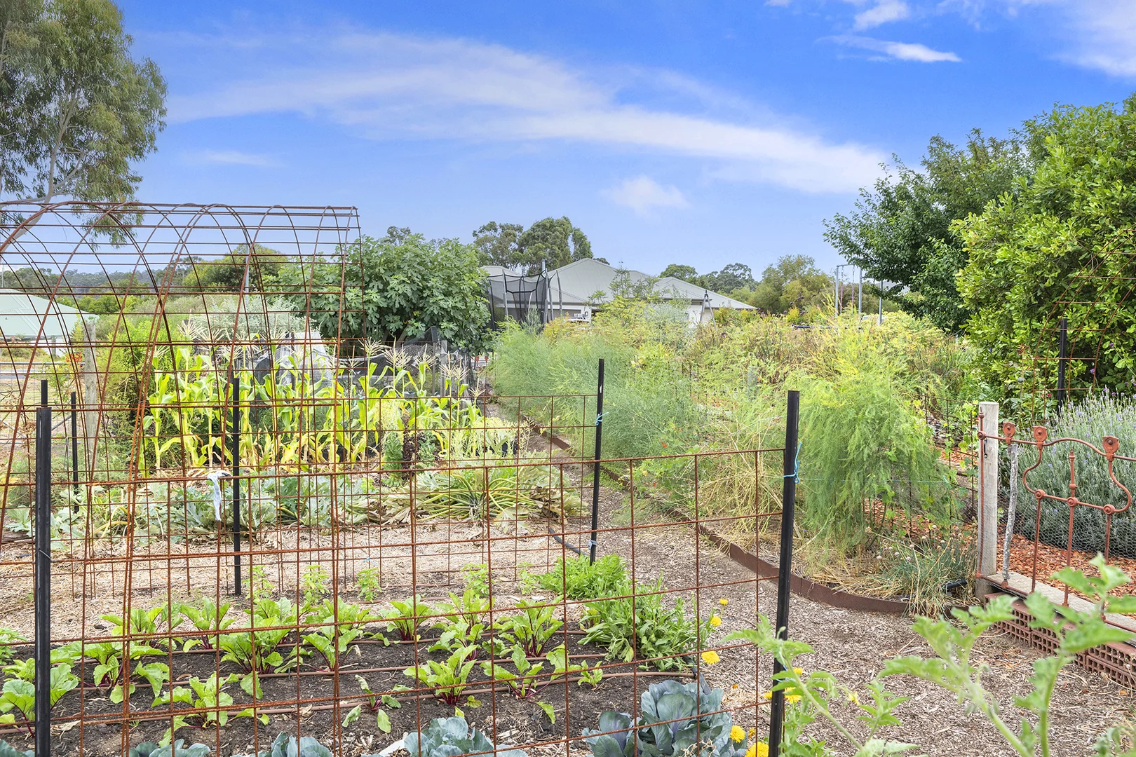Additional image 27 of 2 Calabrese Close, Margaret River WA 6285