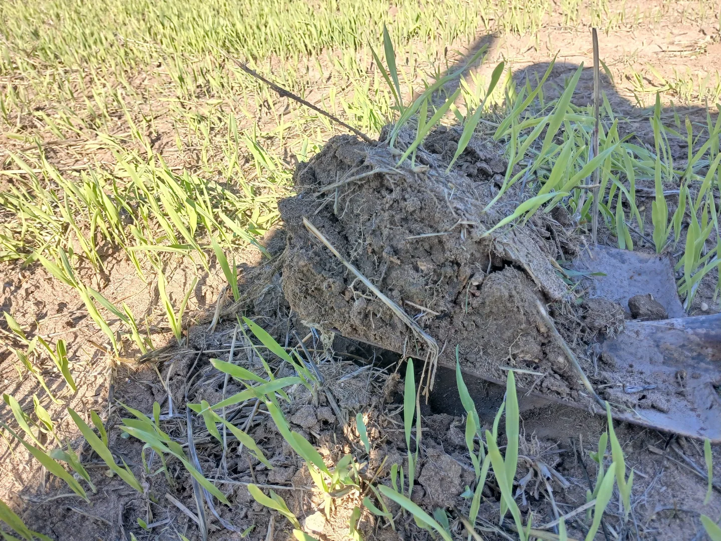 Additional image 6 of 1100 Propodollah Road, Nhill VIC 3418