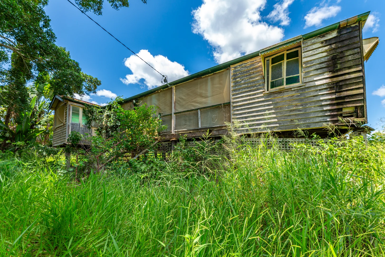 Additional image 9 of 807 Pine Creek Road, Givelda QLD 4670