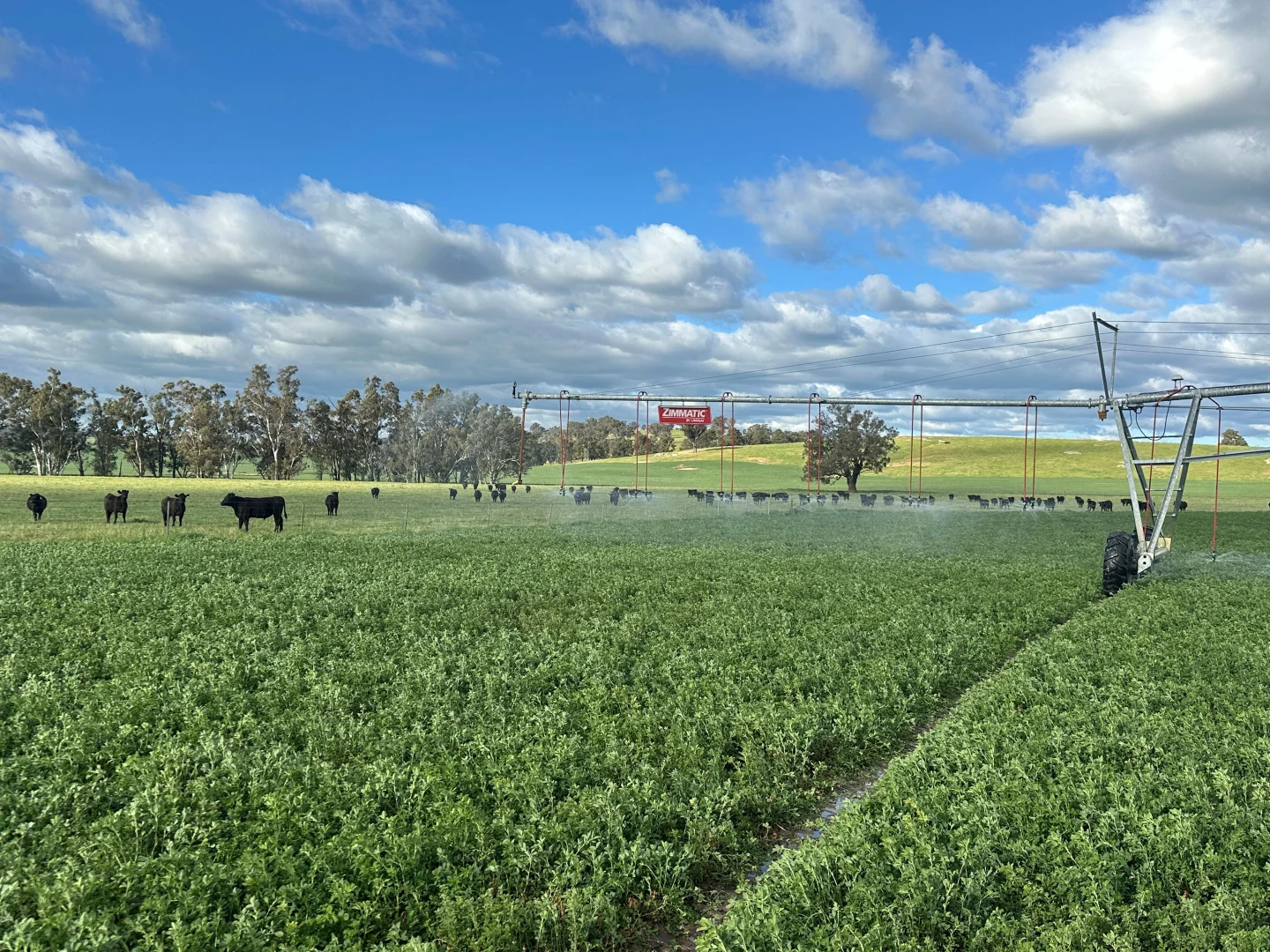 Additional image 4 of 929 Old Narrandera Road, Wagga Wagga NSW 2650