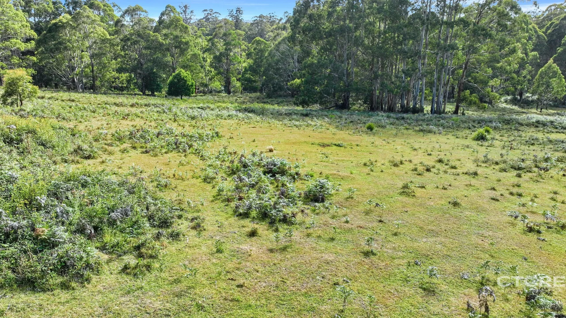 Additional image 5 of 12F & 12G Minchins Track, Bonang VIC 3888