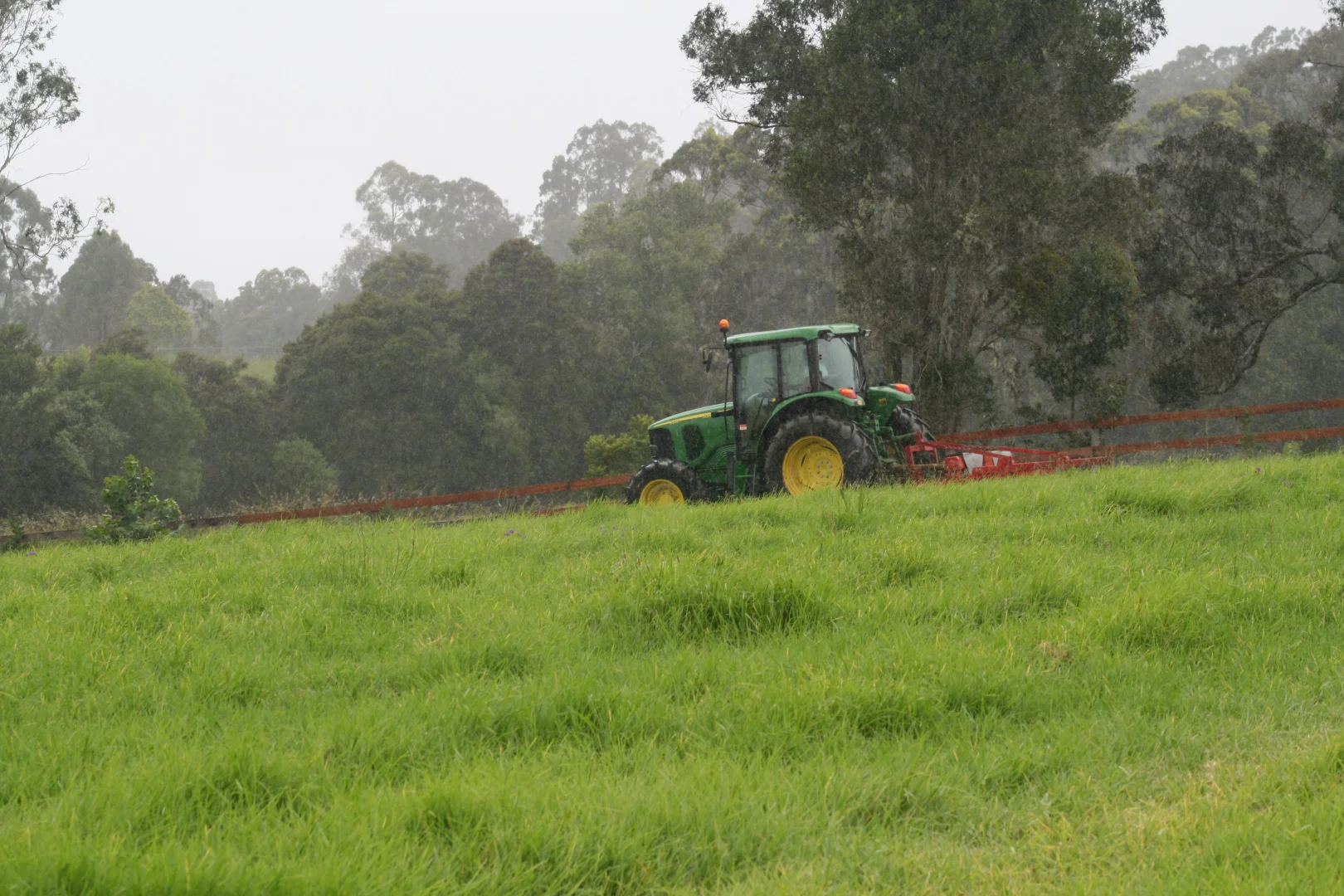 Additional image 16 of 1554 & 1598 Rollands Plains Road, Rollands Plains NSW 2441