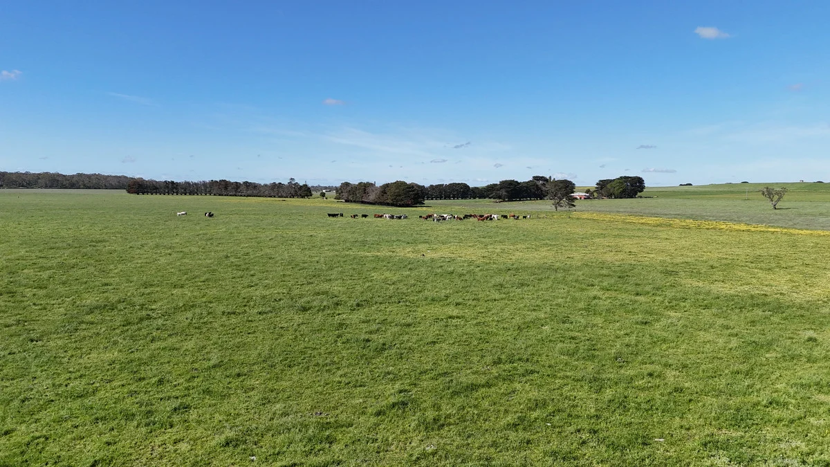 Additional image 18 of 61 Purrumbete Estate Road, Koallah VIC 3260