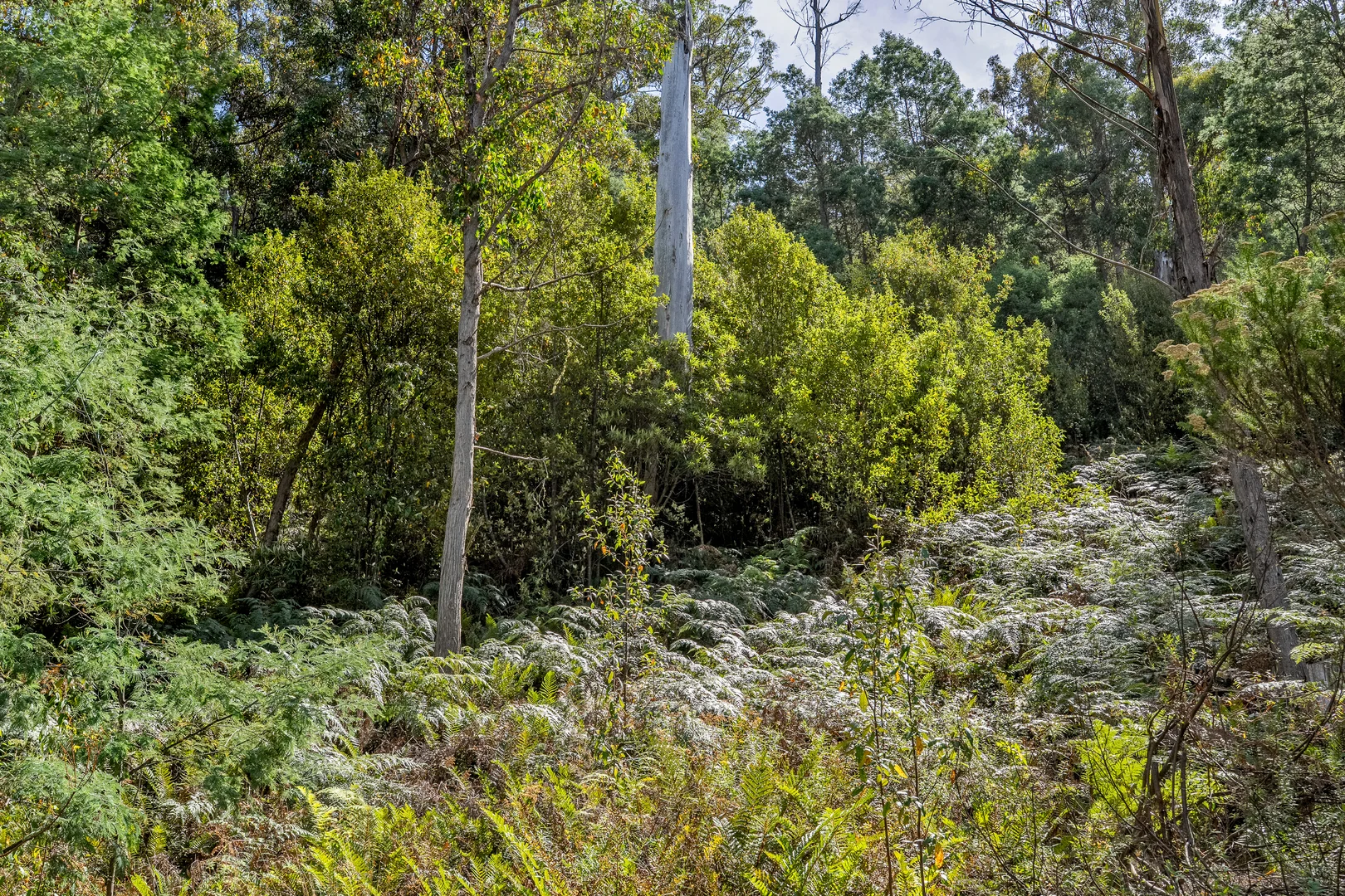 Additional image 43 of 1 Douglas Road, Molesworth TAS 7140