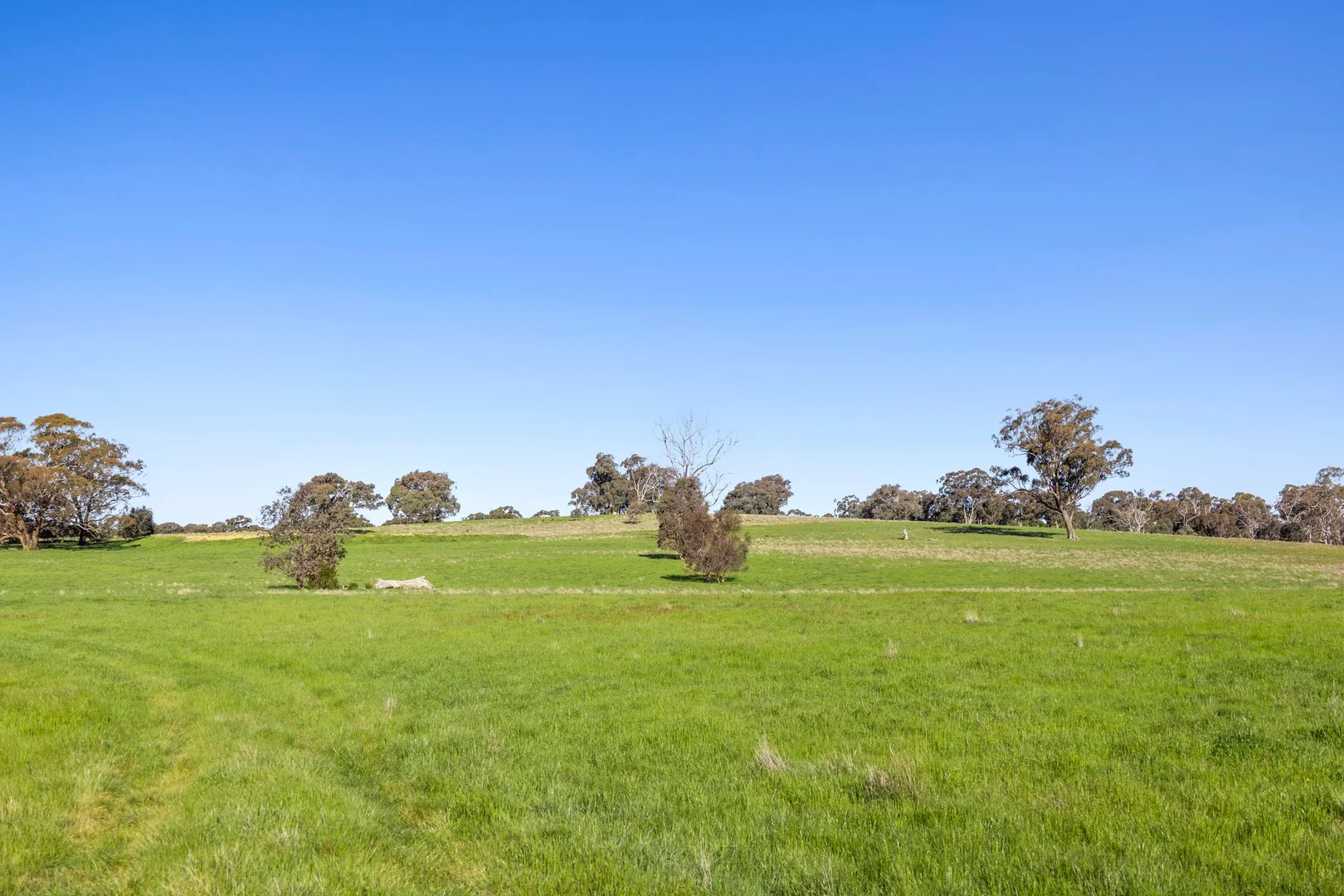 Additional image 13 of 189 Siddles Road, Redesdale VIC 3444