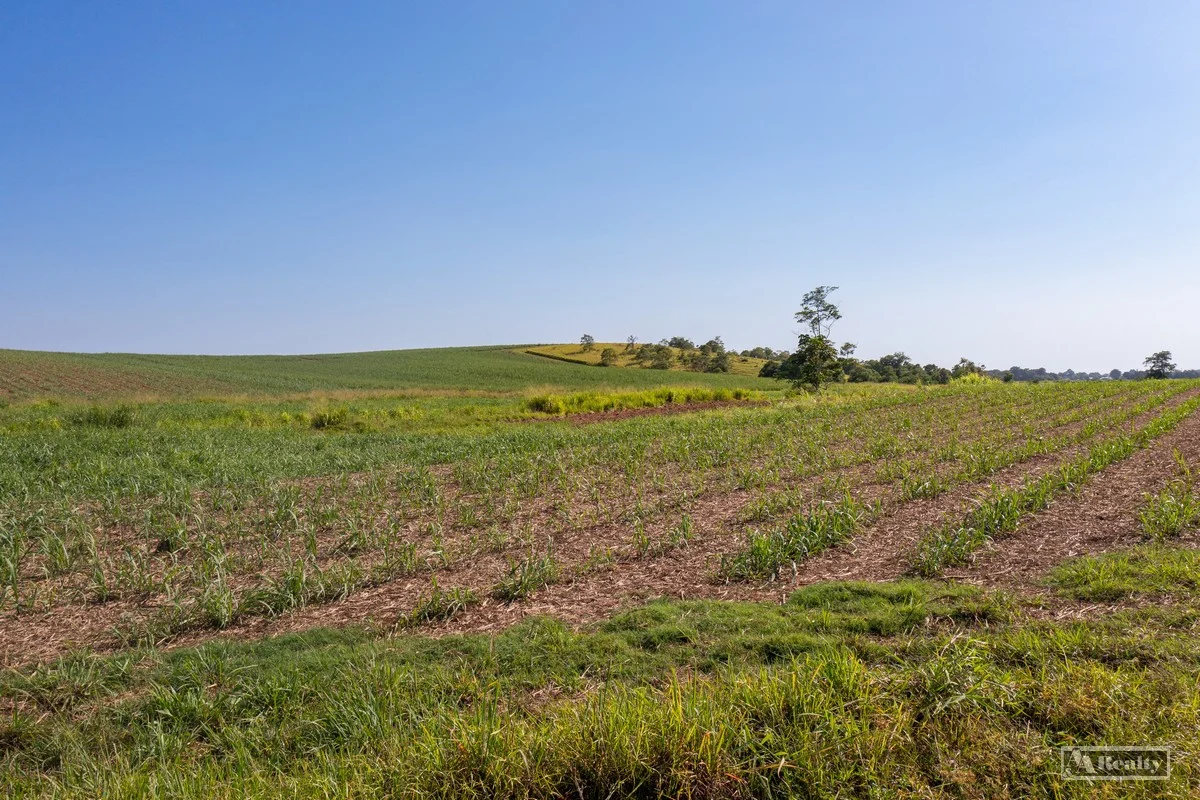 Additional image 4 of Belvedere QLD 4860