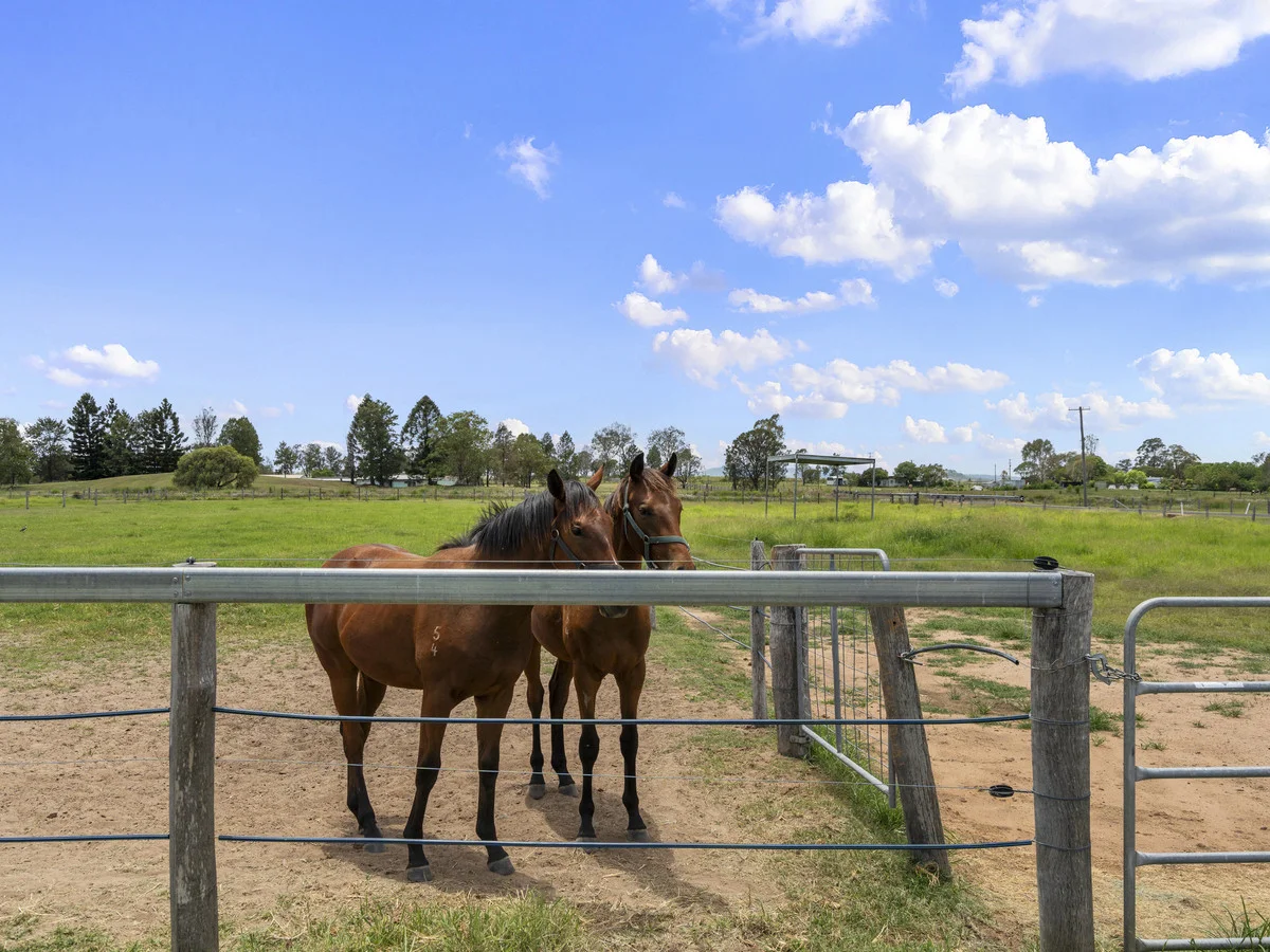 Additional image 46 of 51 Haslingden Road, Lockyer Waters QLD 4311