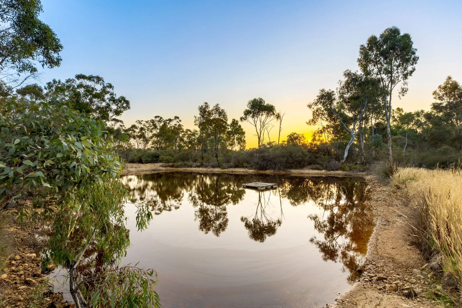Additional image 5 of 51 Bracewell Street, Maiden Gully VIC 3551