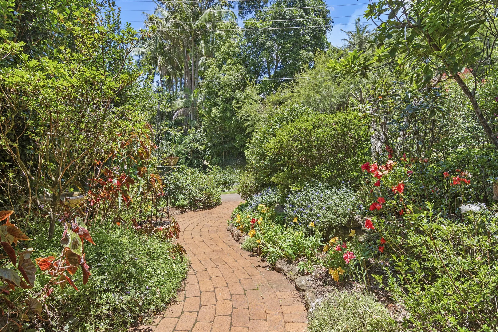 Additional image 16 of 1 Areca Court, Tamborine Mountain QLD 4272