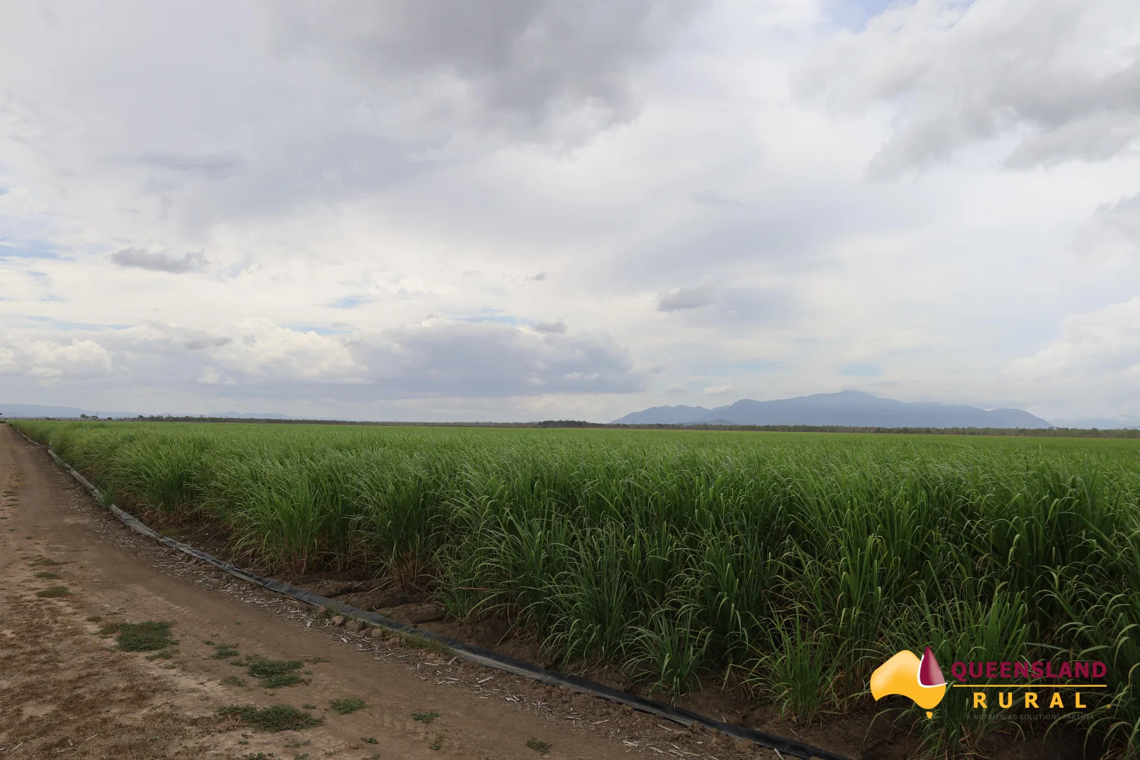 Additional image 4 of Upper Haughton QLD 4809