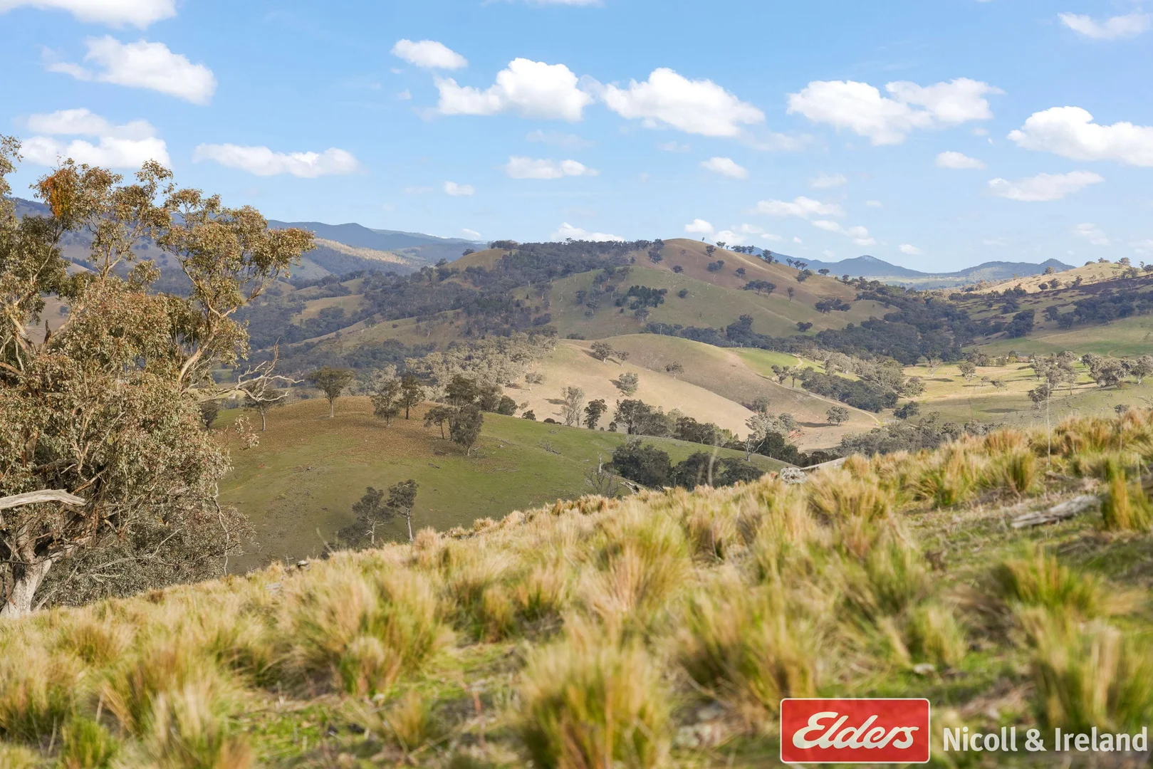 Additional image 5 of 6843 Goulburn Road, Abercrombie River NSW 2795