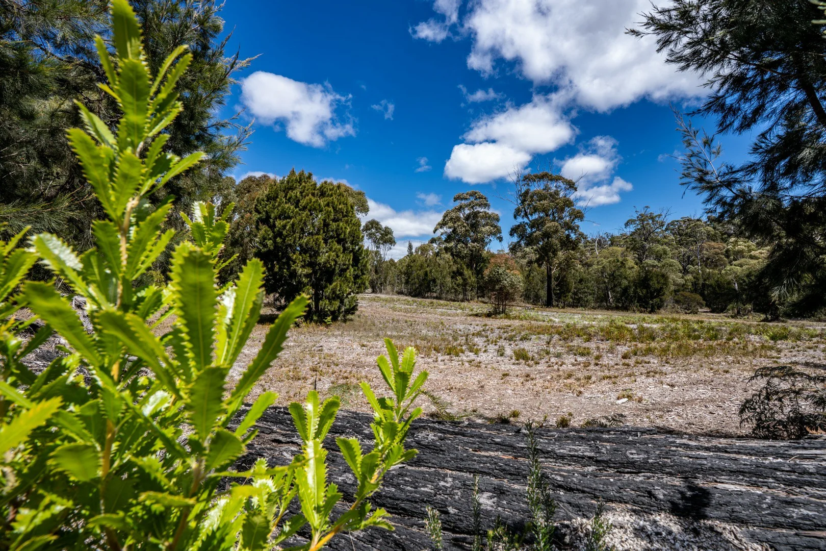 Additional image 7 of PID 7298938 Upper Scamander Road, Scamander TAS 7215