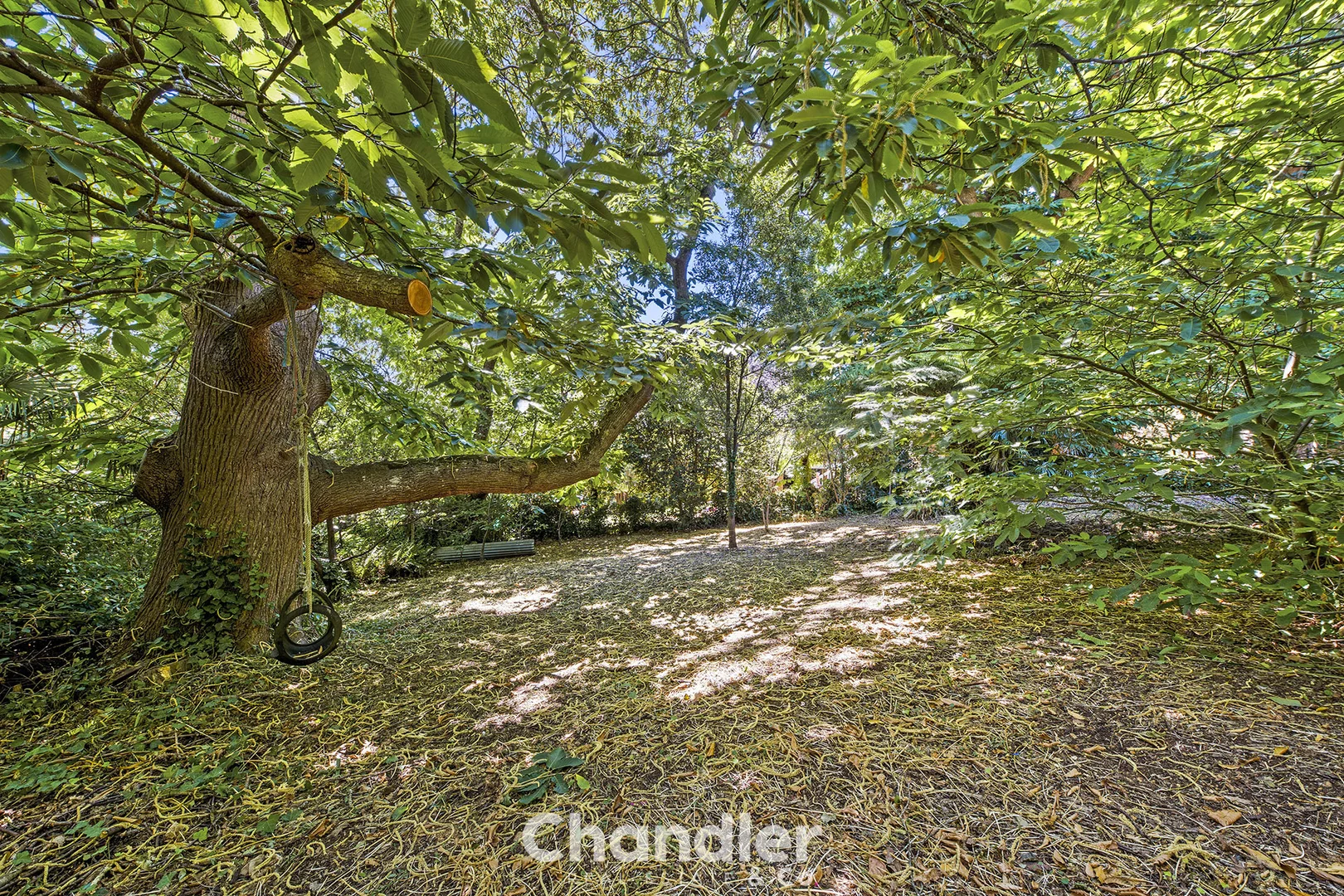 Additional image 13 of 7 Emberson Street, Kallista VIC 3791