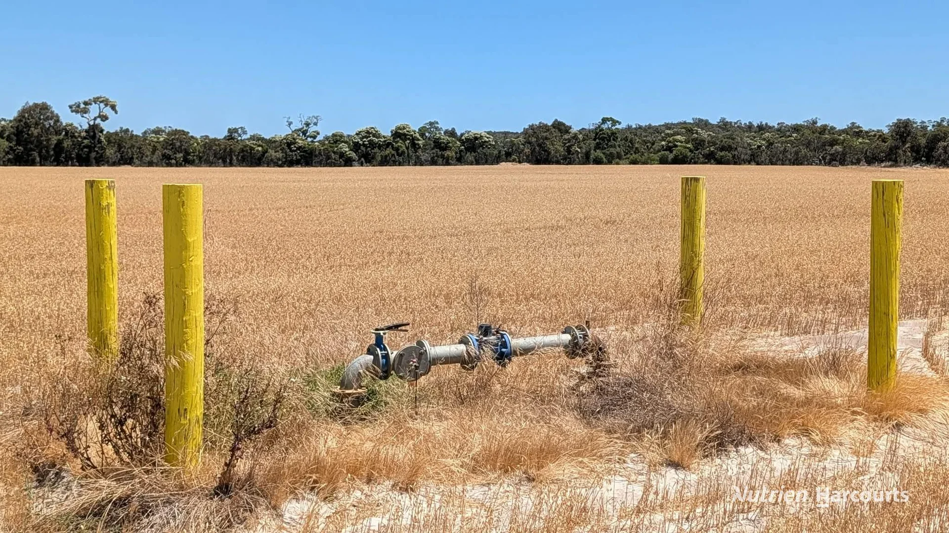 Additional image 17 of 2373 Cowalla Road, Cowalla WA 6503