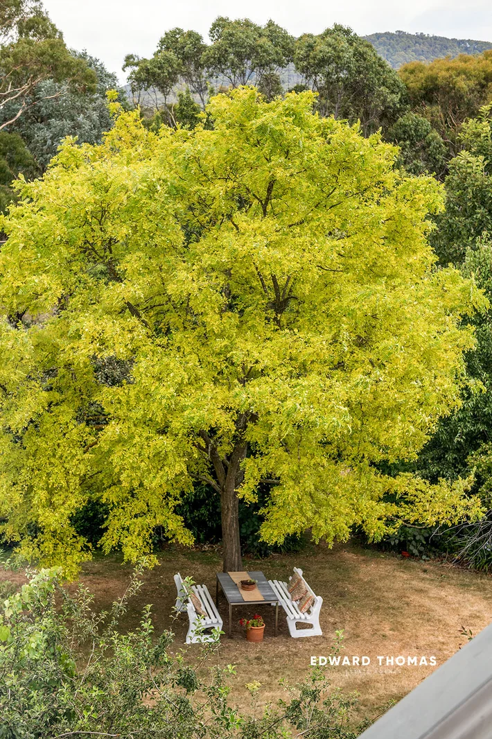 Additional image 7 of 133 Shannons Road, Mount Macedon VIC 3441
