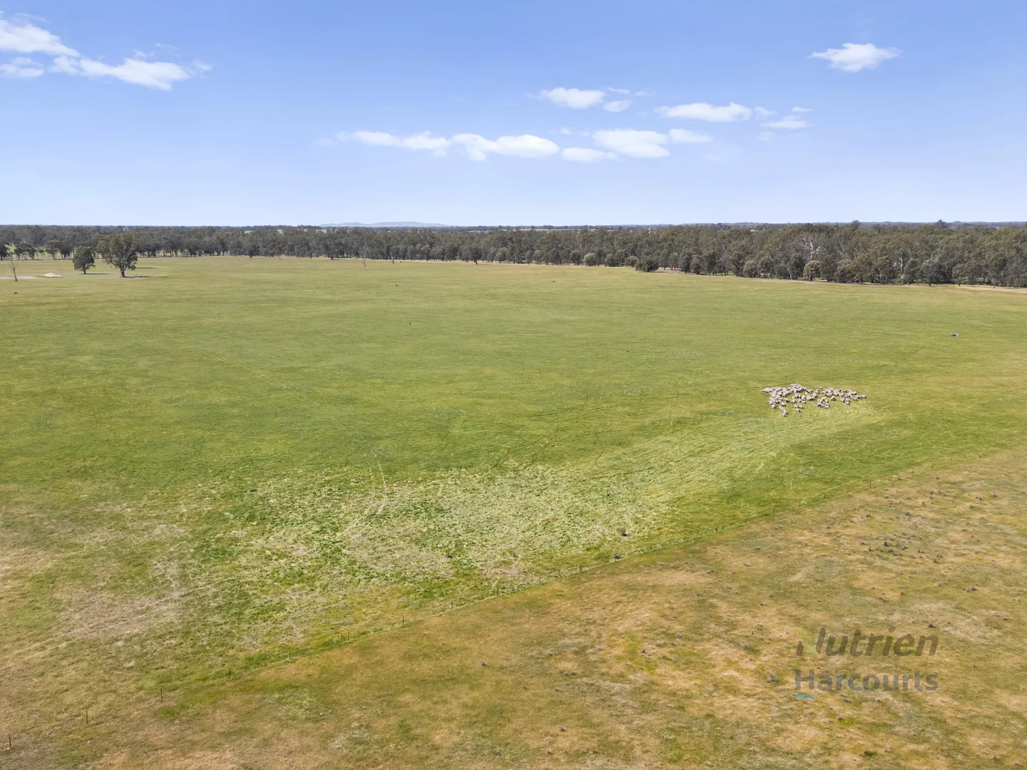 Additional image 8 of 1633 Euroa-Shepparton Road, Miepoll VIC 3666