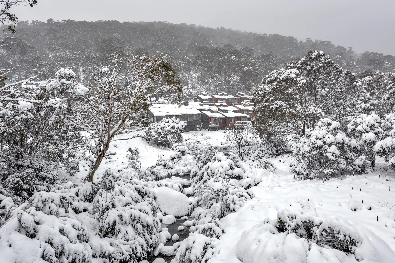 Additional image 13 of 55/Riverside Cabin Diggings Terrace, Thredbo NSW 2625