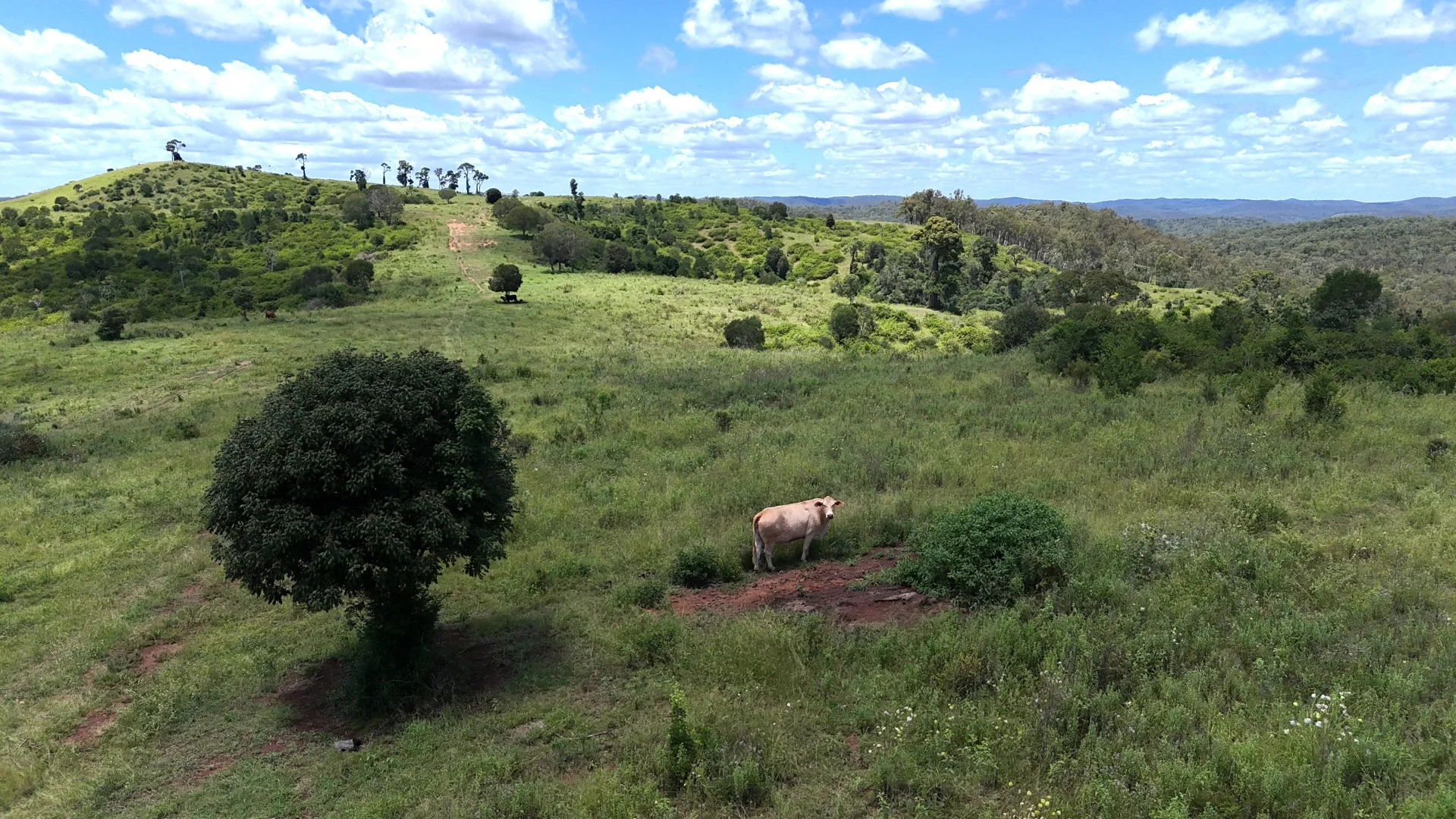 Additional image 21 of 'Sunrise' Mclaughlans Road, Monto QLD 4630