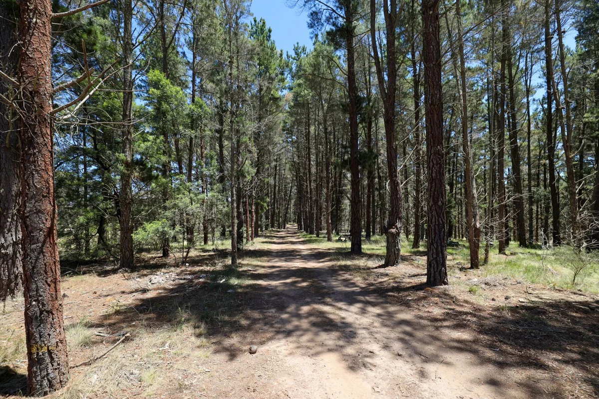 Additional image 10 of 32 Hush Road, Windellama NSW 2580