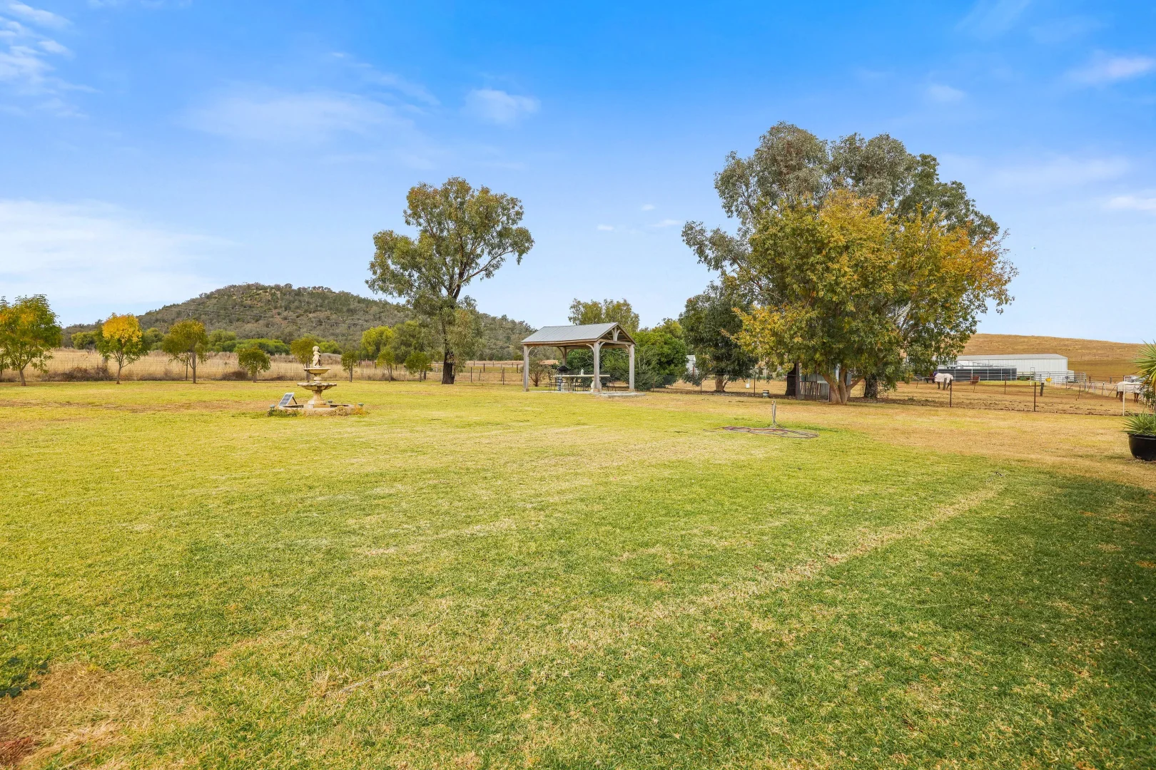 Additional image 13 of "Hillside"/22 Jones, Werris Creek NSW 2341