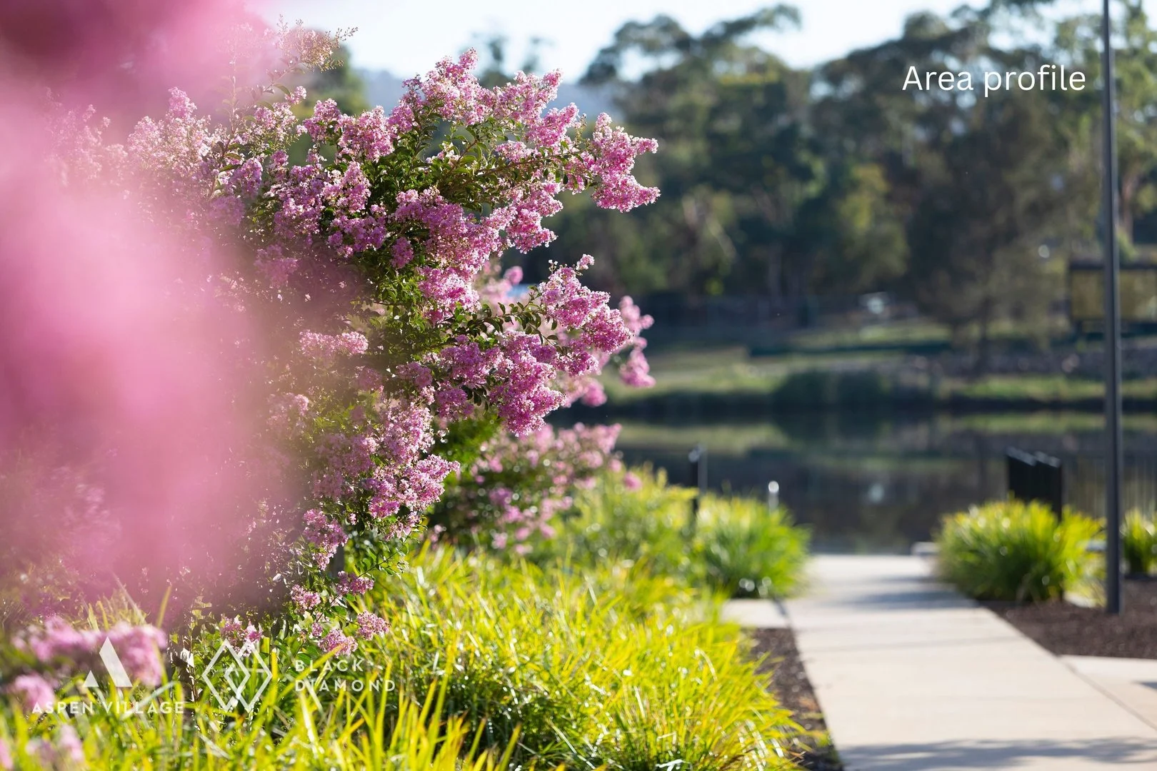 Additional image 31 of 26 Cynthea Teague Crescent, Greenway ACT 2900