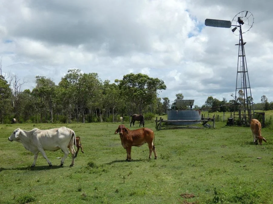 Additional image 15 of 277 Bushlands Road, Bororen QLD 4678