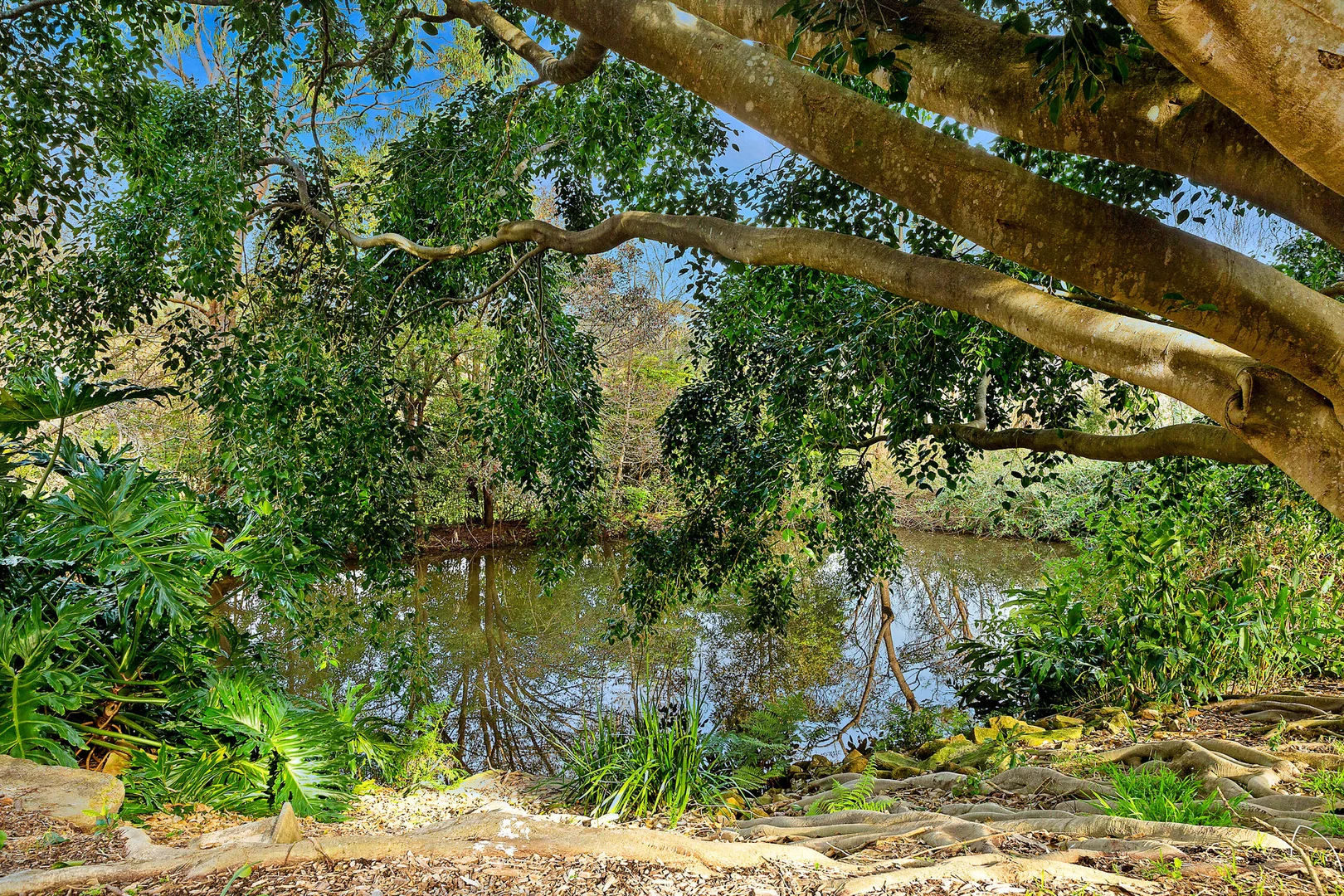 Additional image 24 of 17 James Norton Road, Bensville NSW 2251