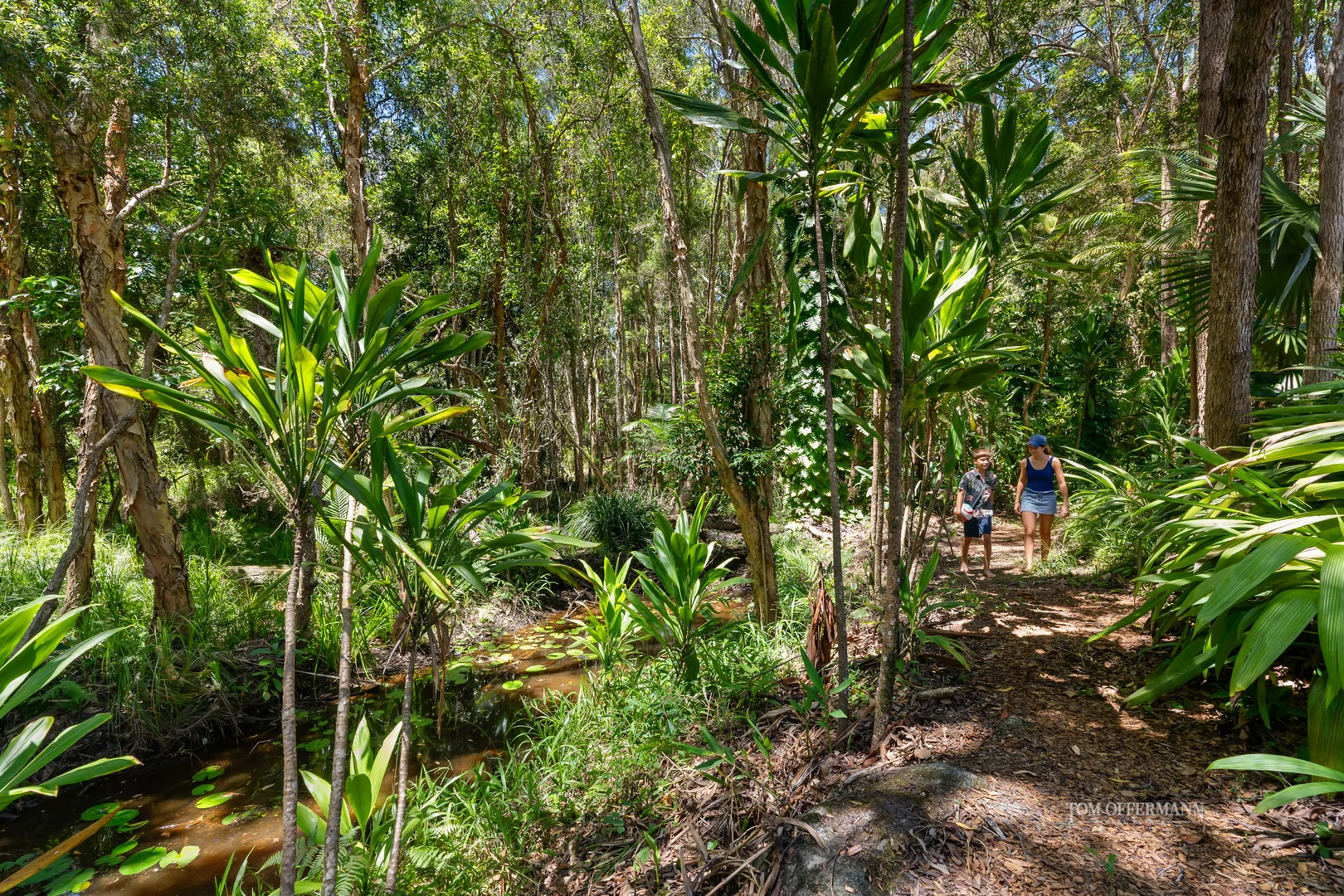 Additional image 12 of 13 Wandoo Court, Noosaville QLD 4566