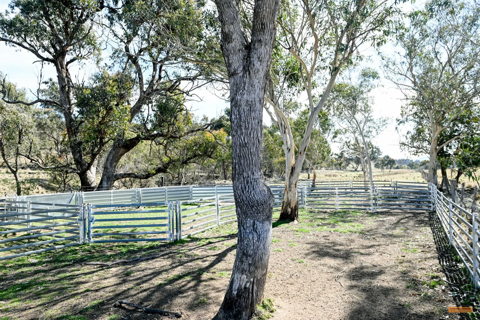 Additional image 16 of "The Top Paddock" Bairds Crossing Road, Dalgety NSW 2628